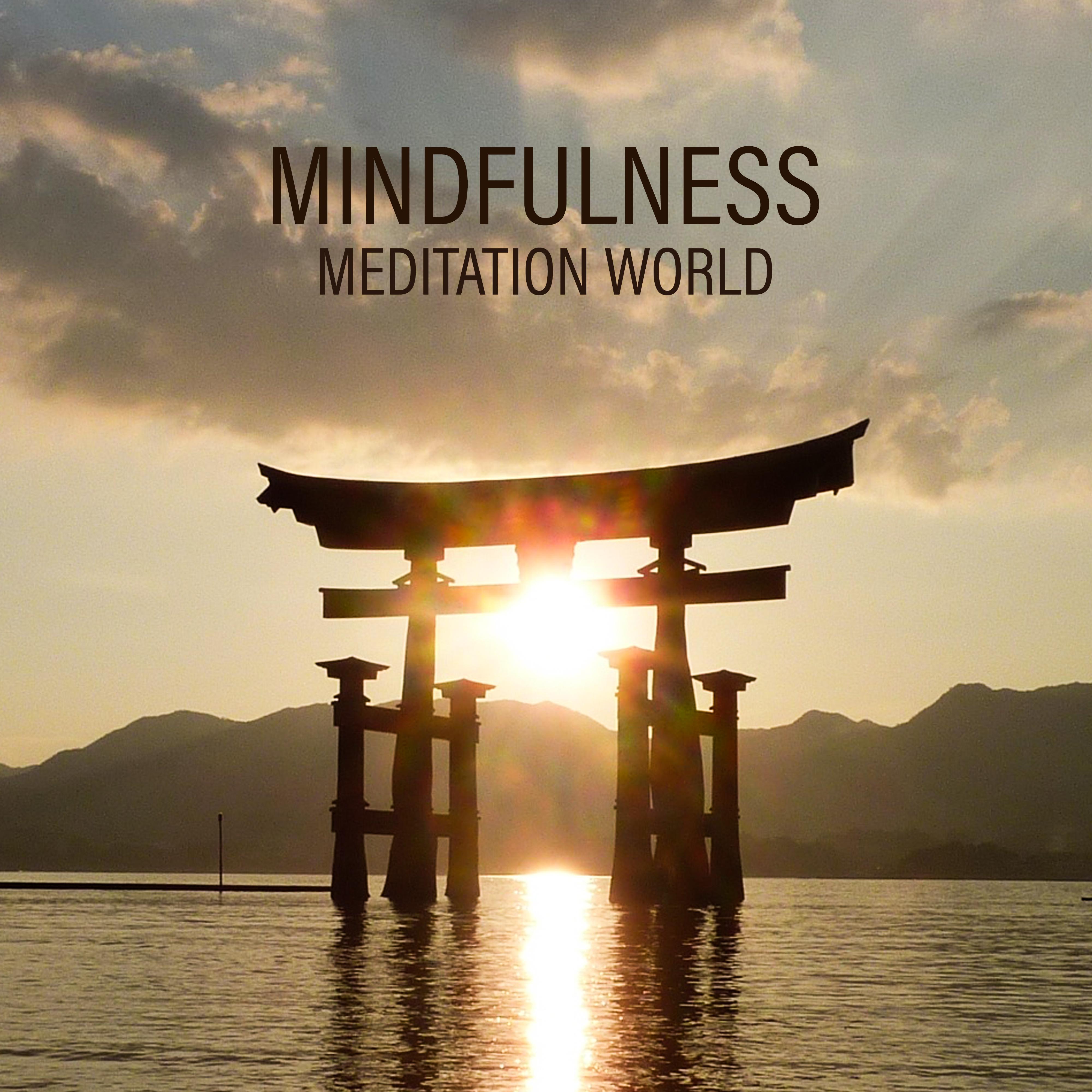 Mindfulness Meditation World