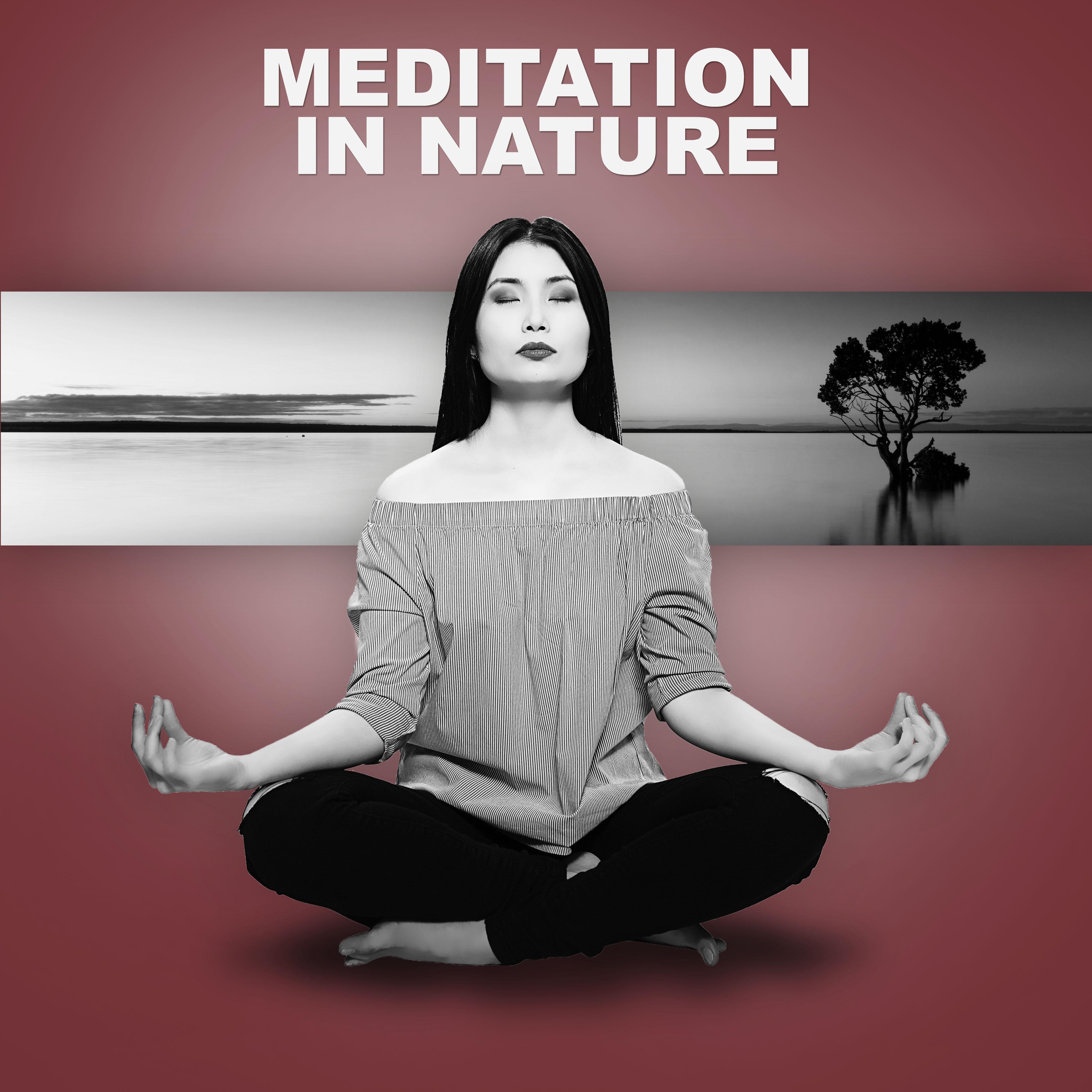 Meditation in Nature  Peaceful Nature Sounds for Mindfulness Meditation, Mantra, Yoga, Buddhist, Metta, Hindu, Relaxation Music, Ocean Waves, Sun Salutation