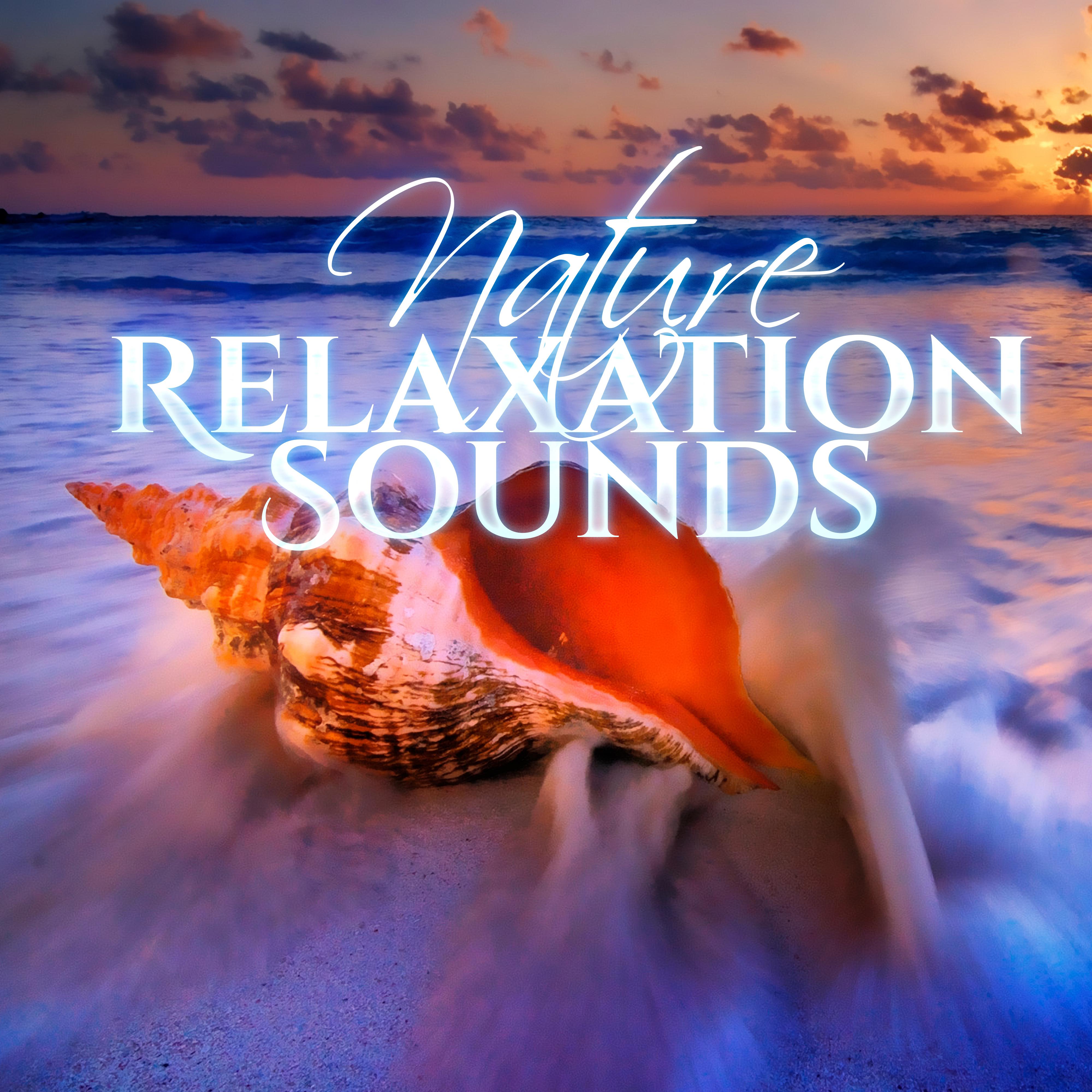 Nature Relaxation Sounds  Soft Sounds to Relax, Rest a Bit, Easy Listening New Age Music, Nature Sounds