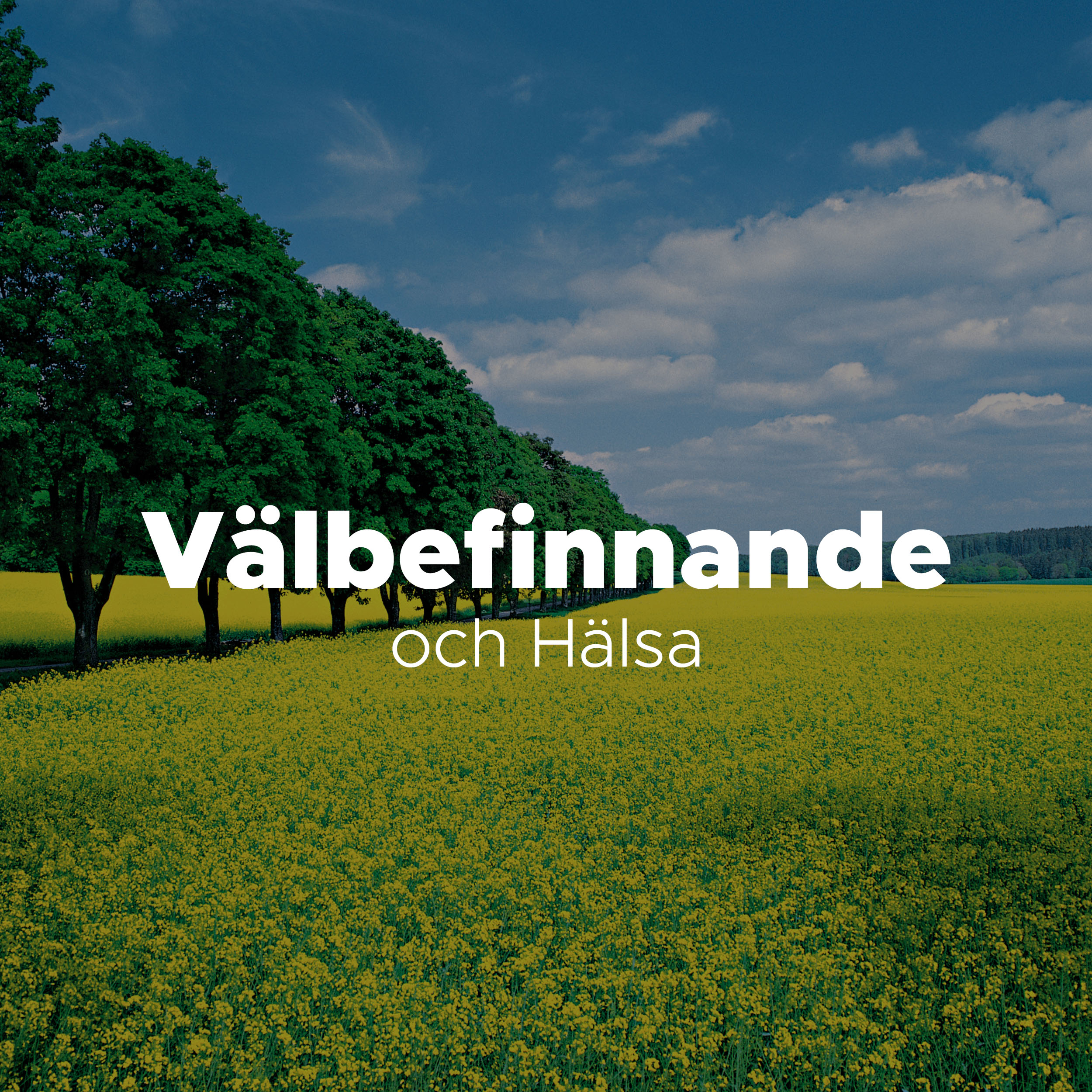 V lbefinnande och H lsa: Meditationsmusik