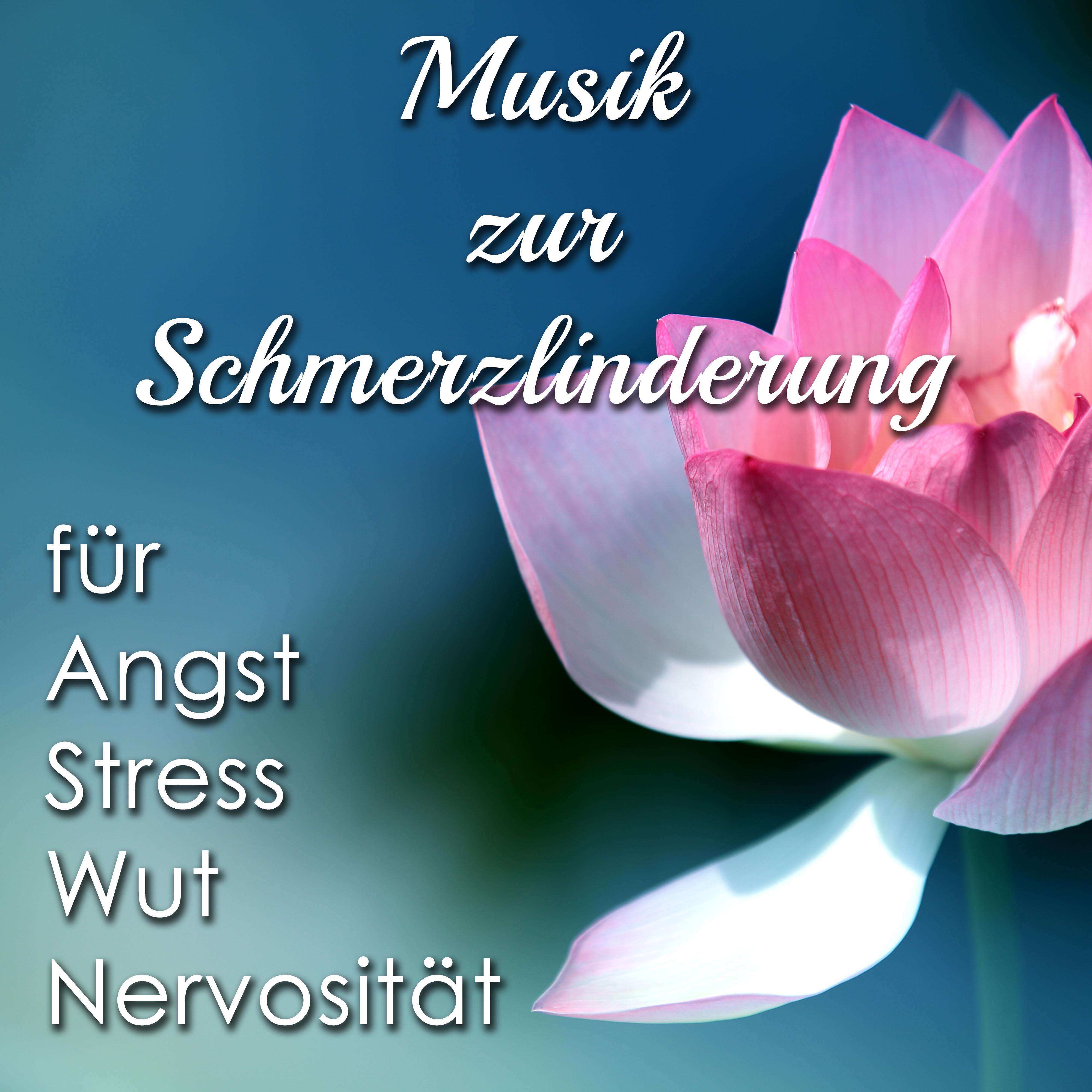 Musik zur Schmerzlinderung  New Age Songs abzuwehren Angst, Stress, Wut und Nervosit t