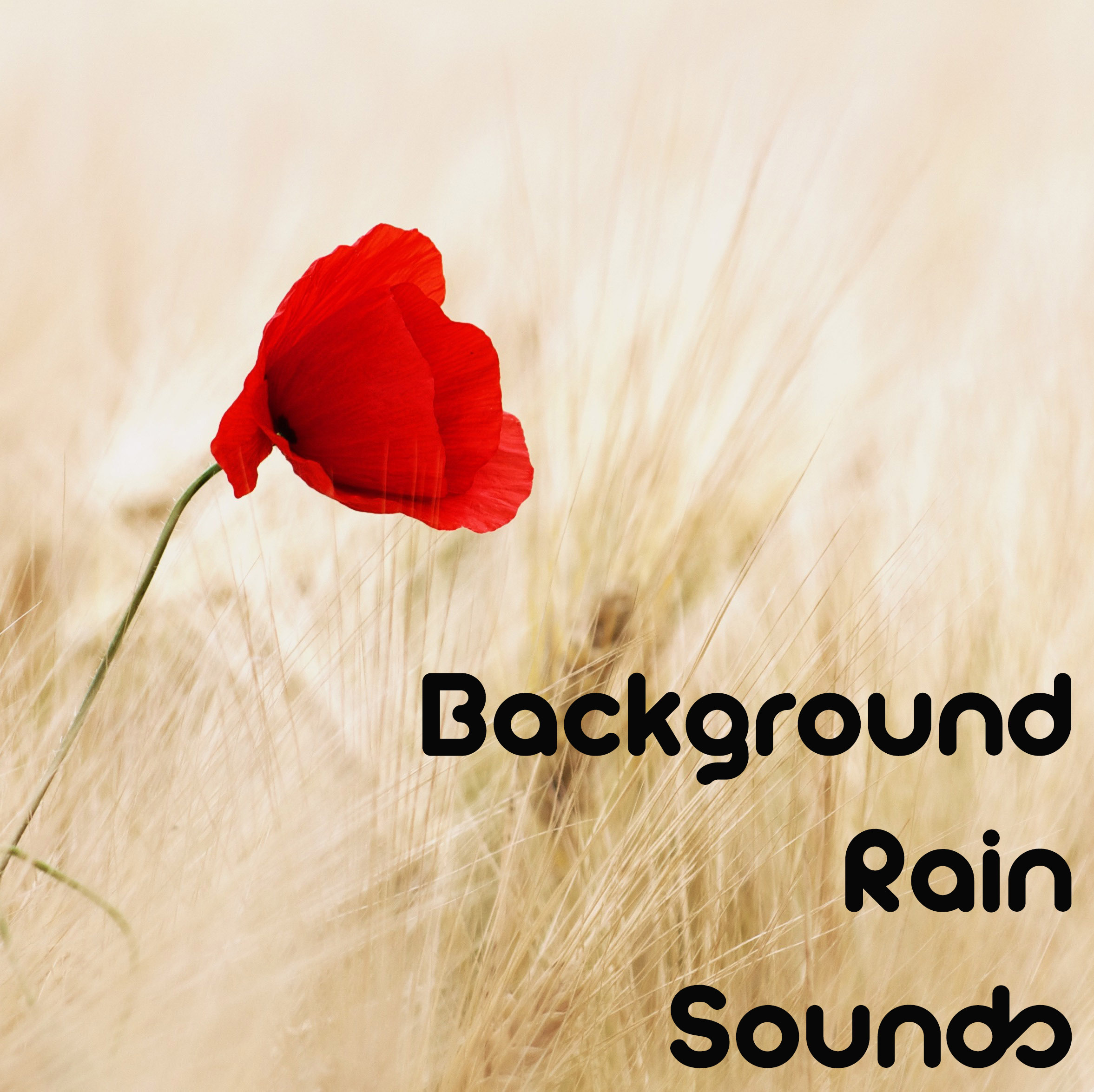 18 Background Rain and Nature Sounds