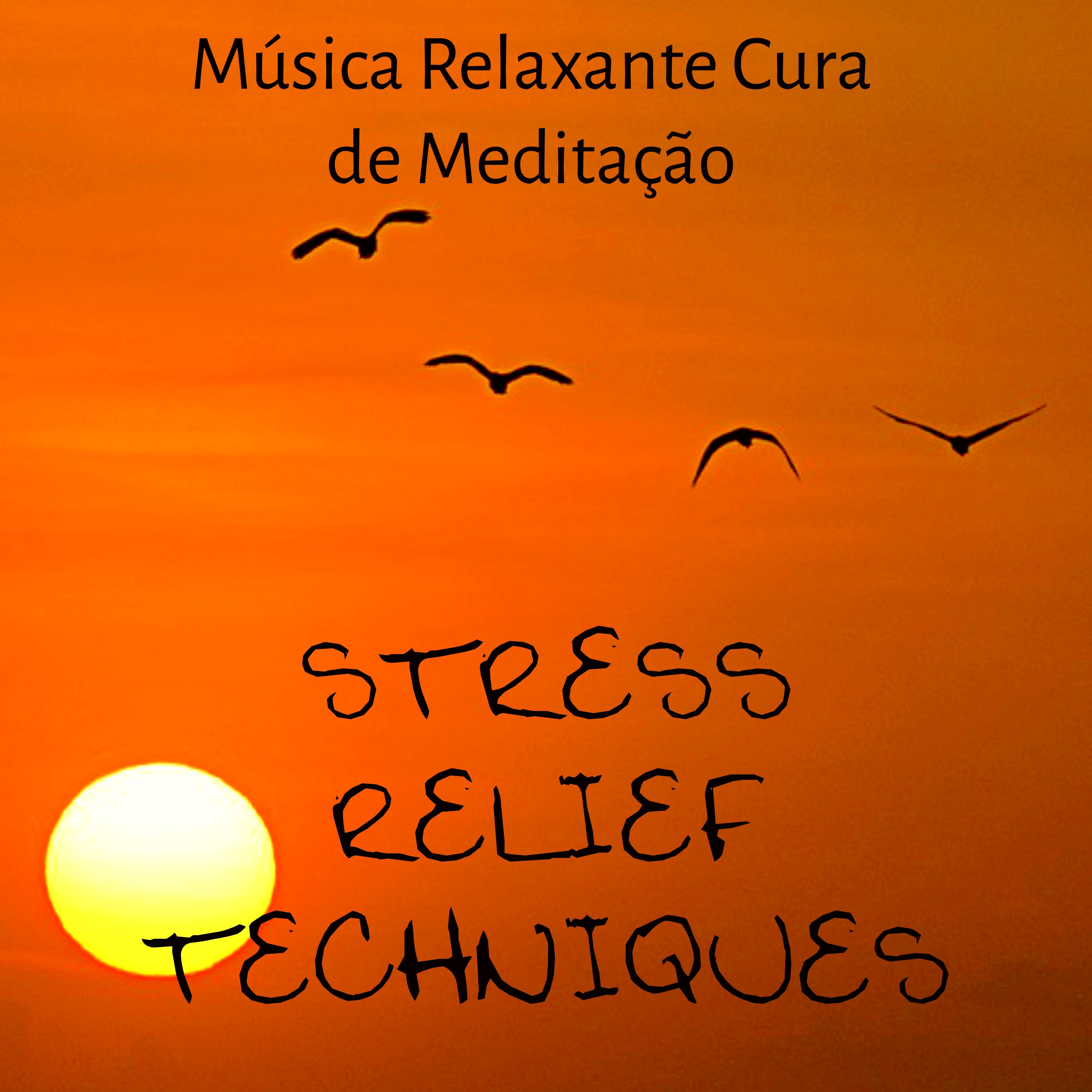 Stress Relief Techniques  Mu sica Relaxante Cura de Medita o para Saude Mental Treinar A Concentra o Te cnicas de Hipnose com Sons da Natureza Instrumentais New Age