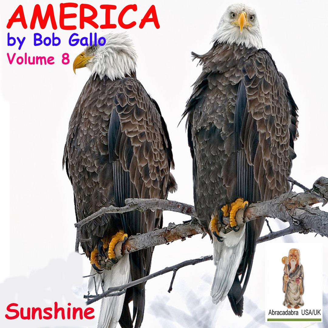 America, Vol 8. You Are My Sunshine