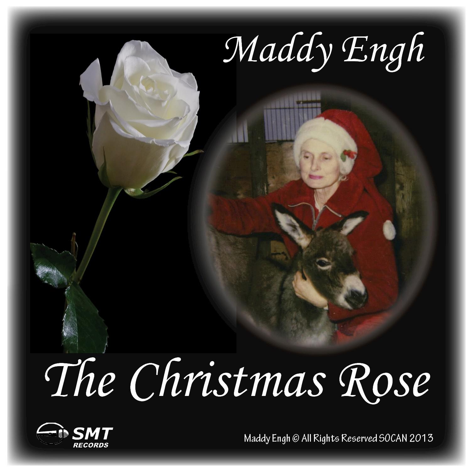 The Christmas Rose - Single