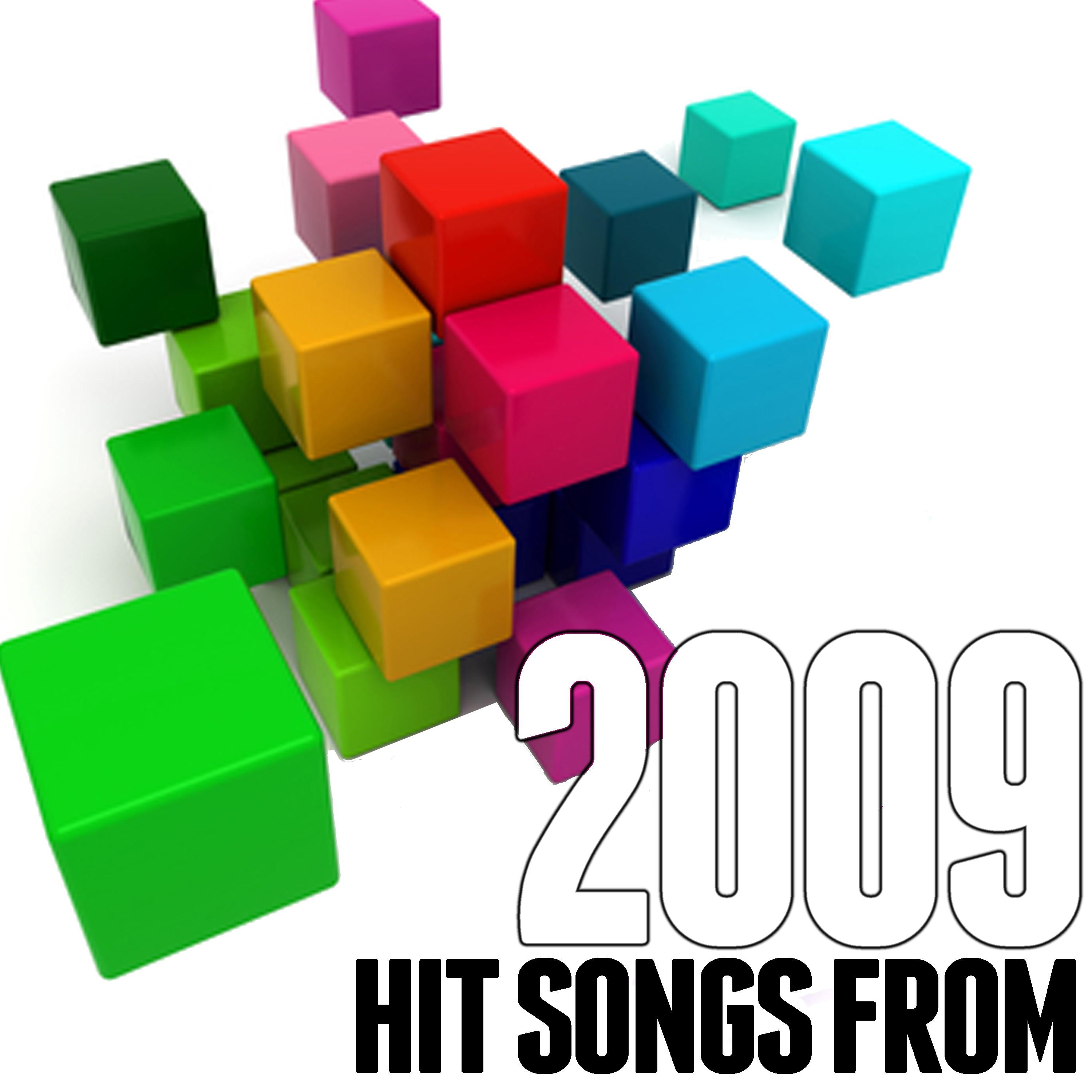 Hits Songs from 2009