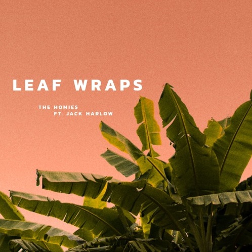 Leaf Wraps