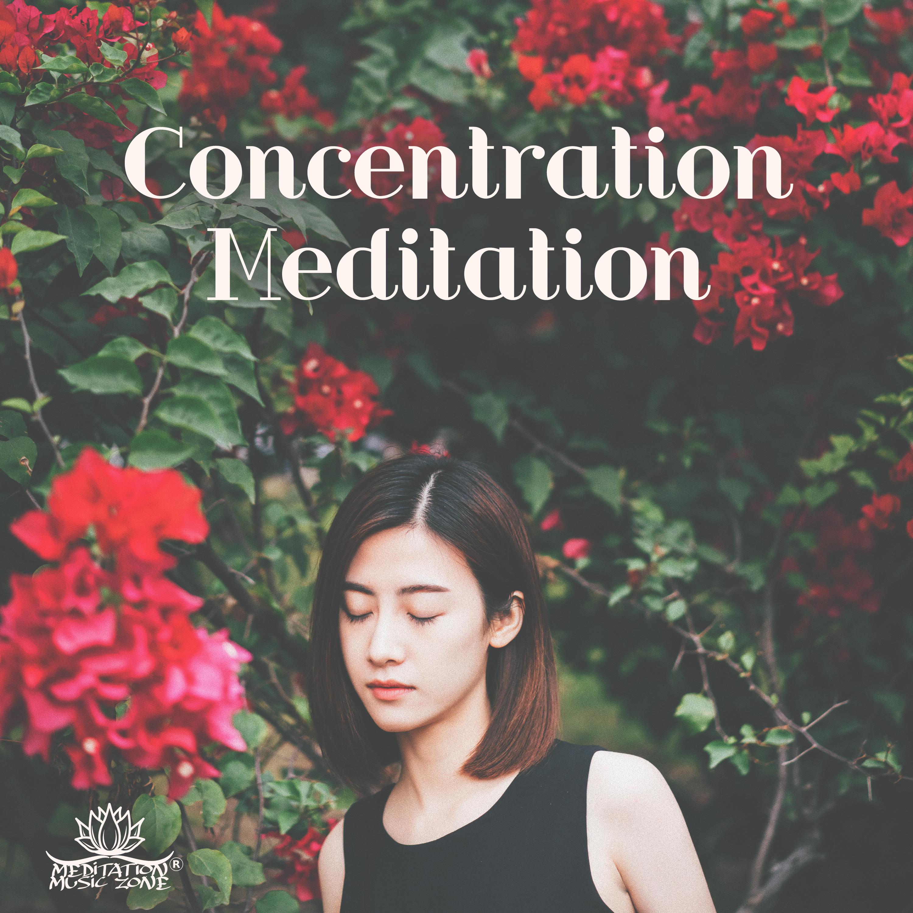 Concentration Meditation (New Age Tips for Mindfulness & Deep Relaxation, Calm Down)