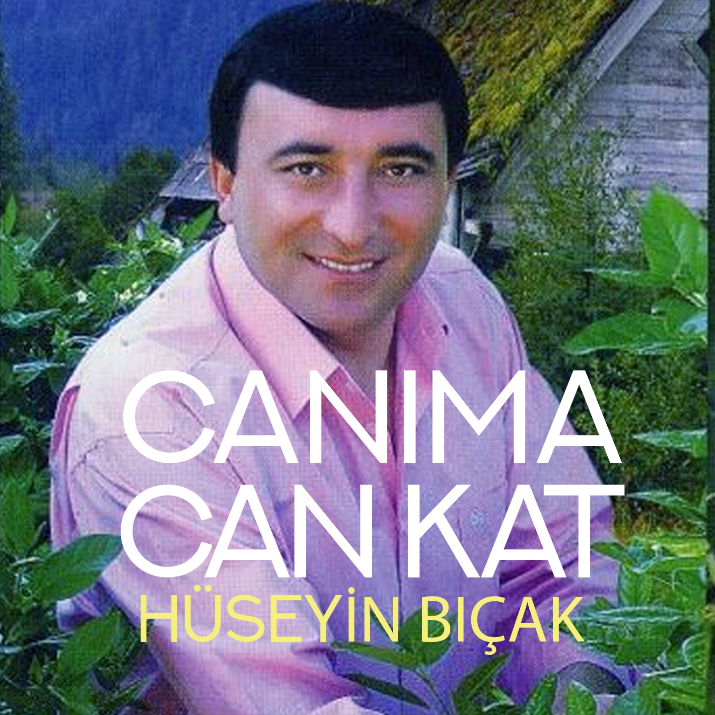Can ma Can Kat