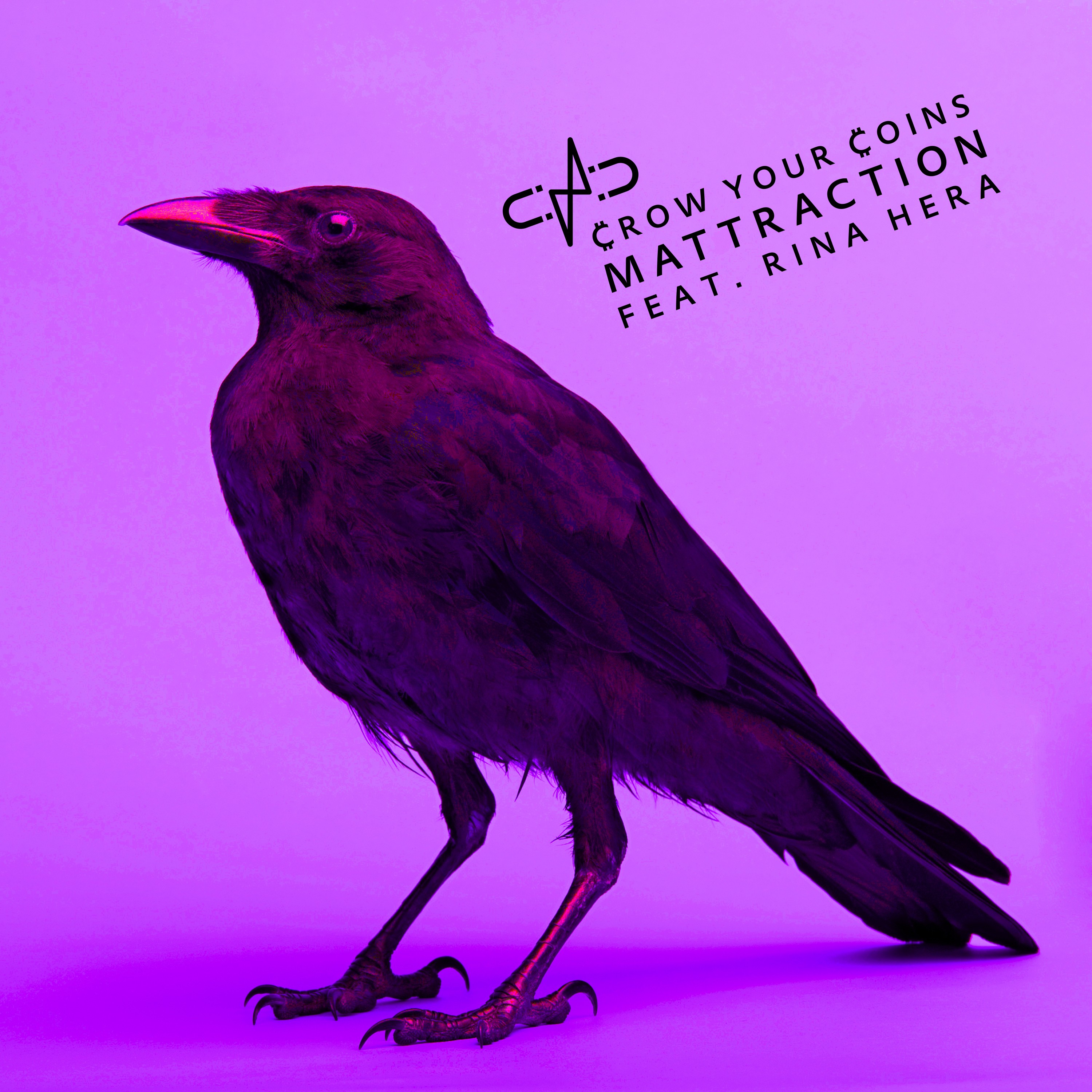 Crow Your Coins