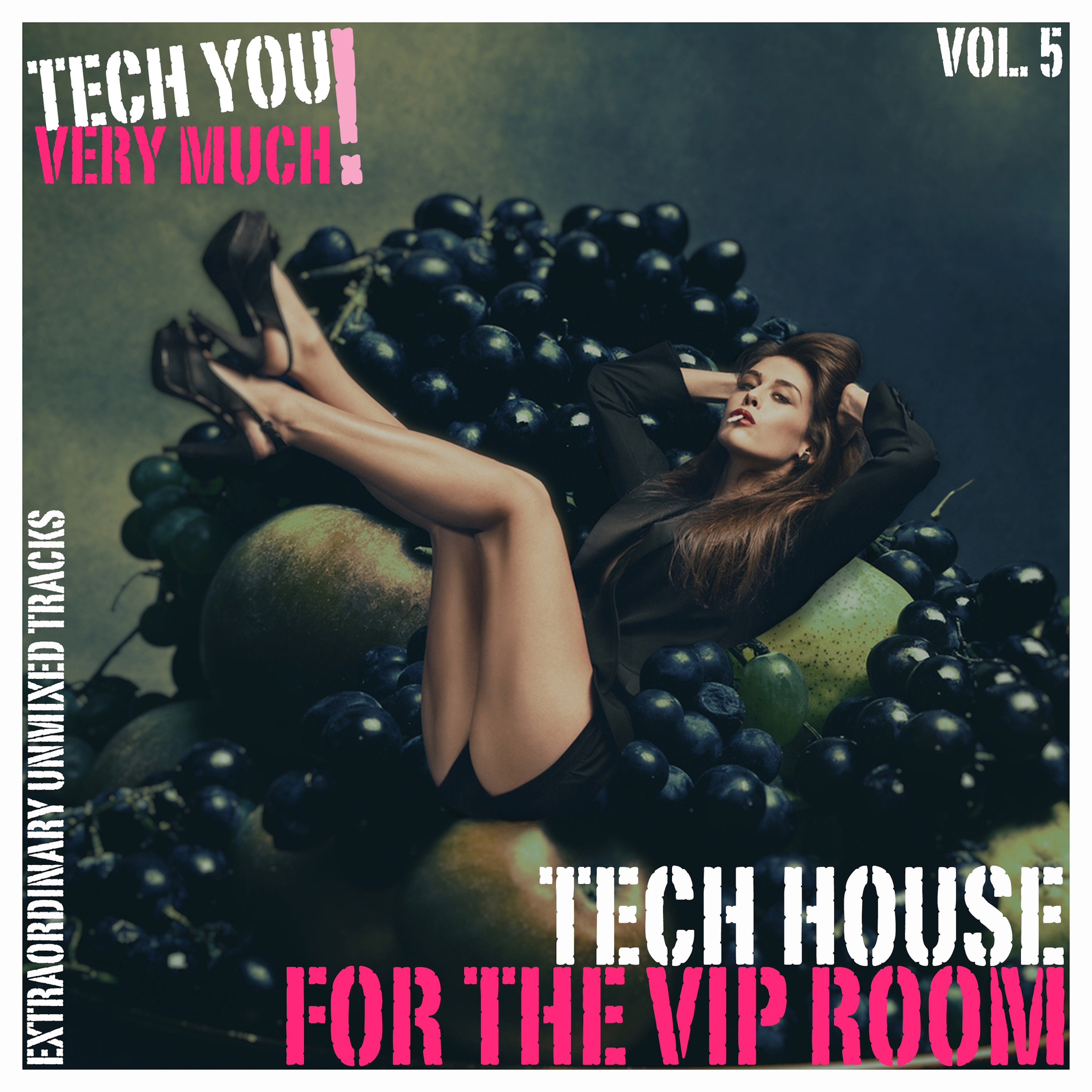 Tech House for the VIP Room, Vol. 5 (Extraordinary Unmixed Tracks)