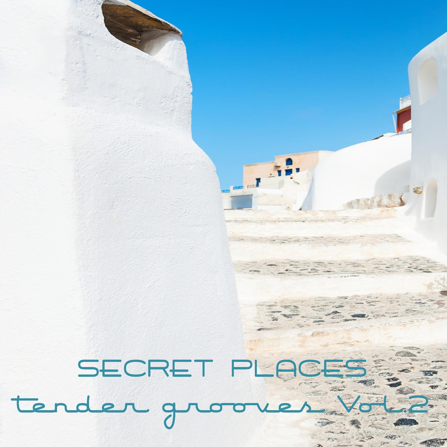 Secret Places, Tender Grooves, Vol.2
