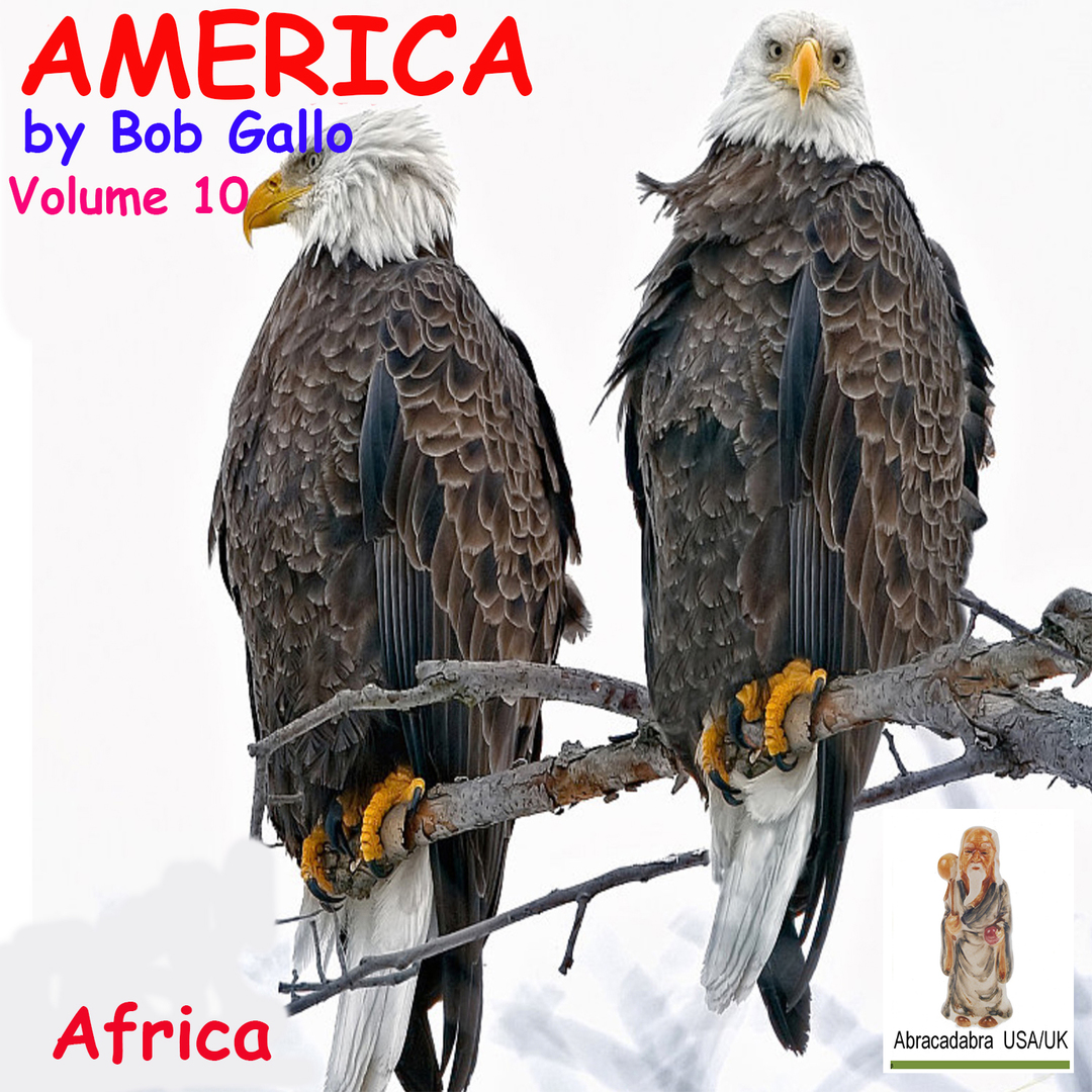 America, Vol 10. In the Heart of Africa