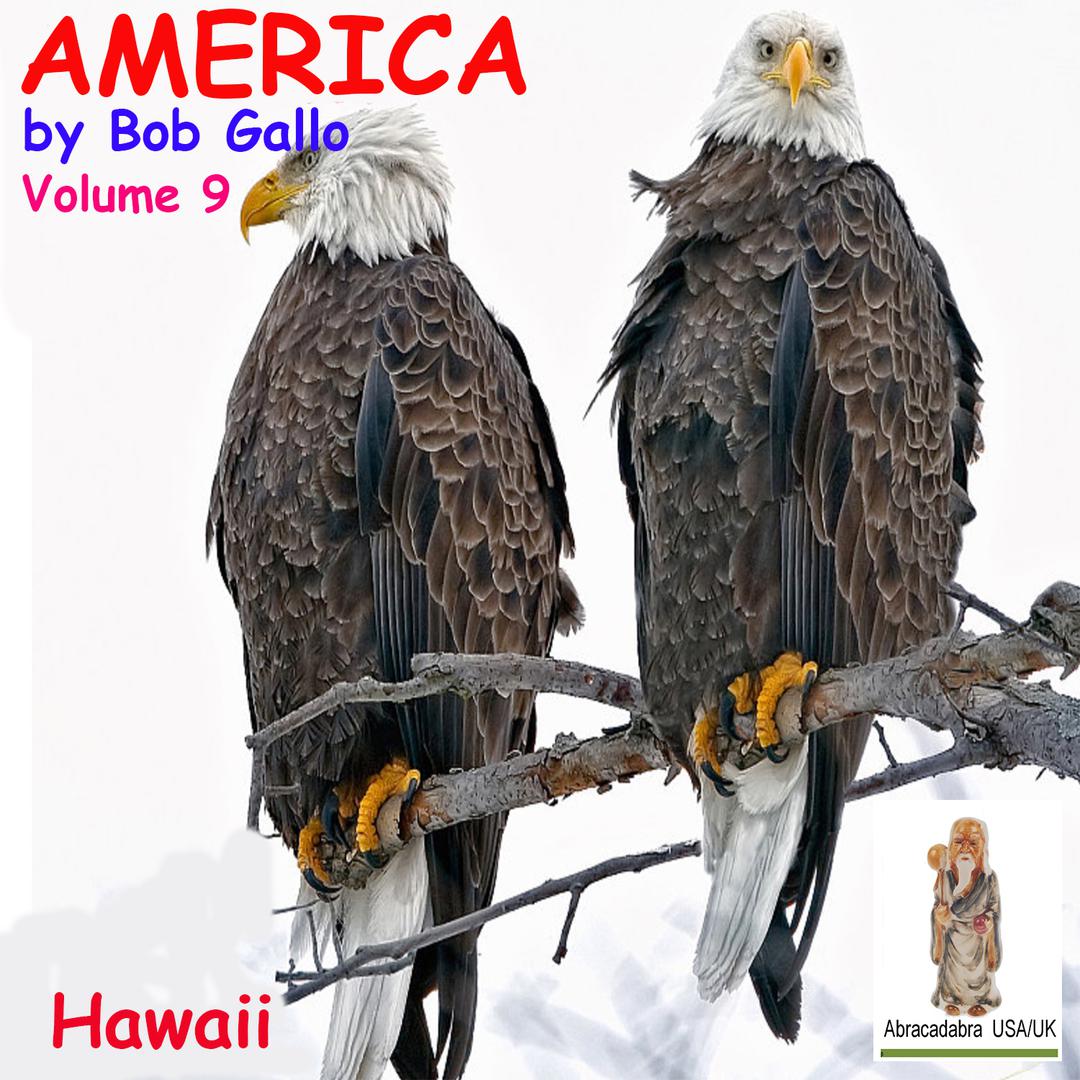 America, Vol 9. Hawaii