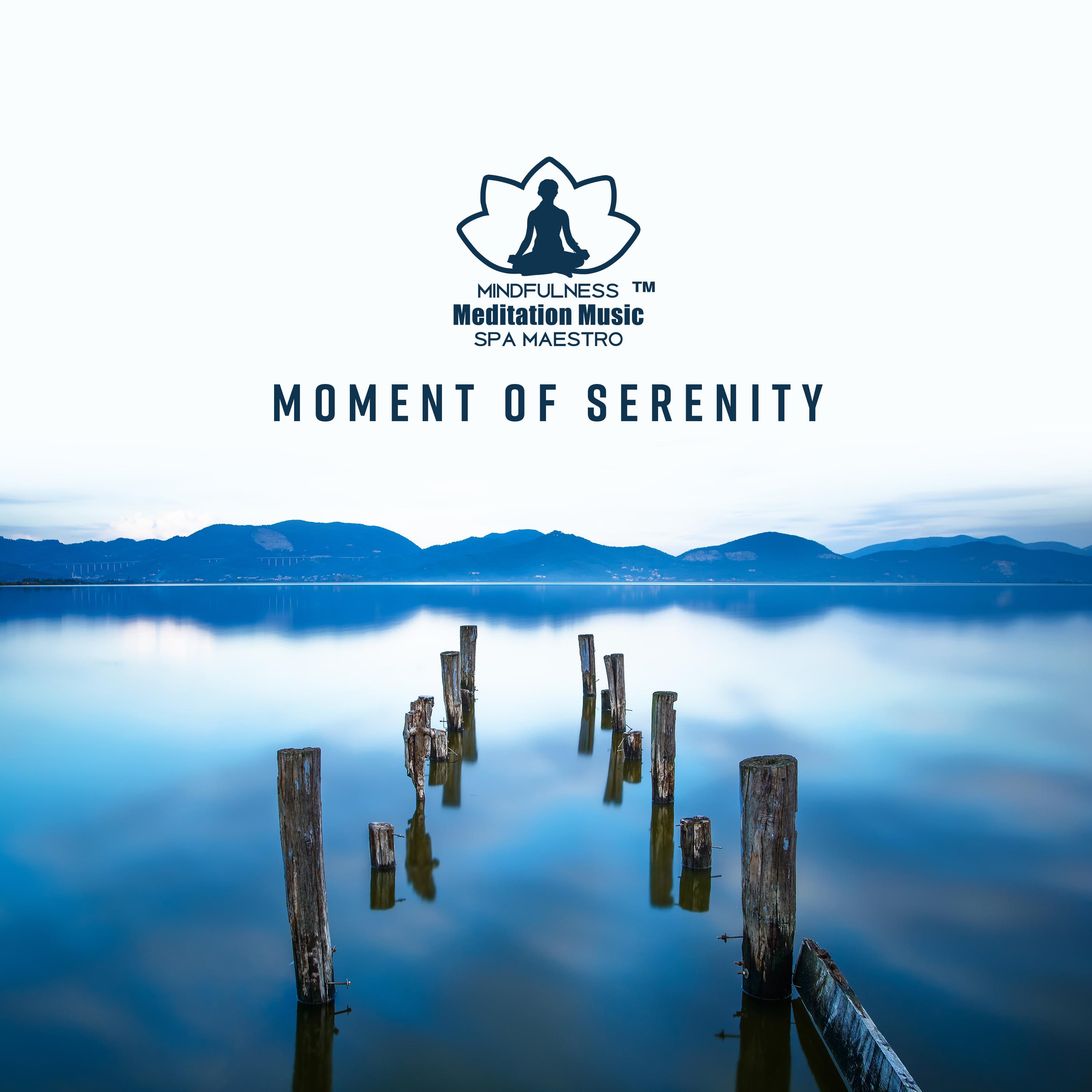 Moment of Serenity (Spa, Relaxation & Meditation)