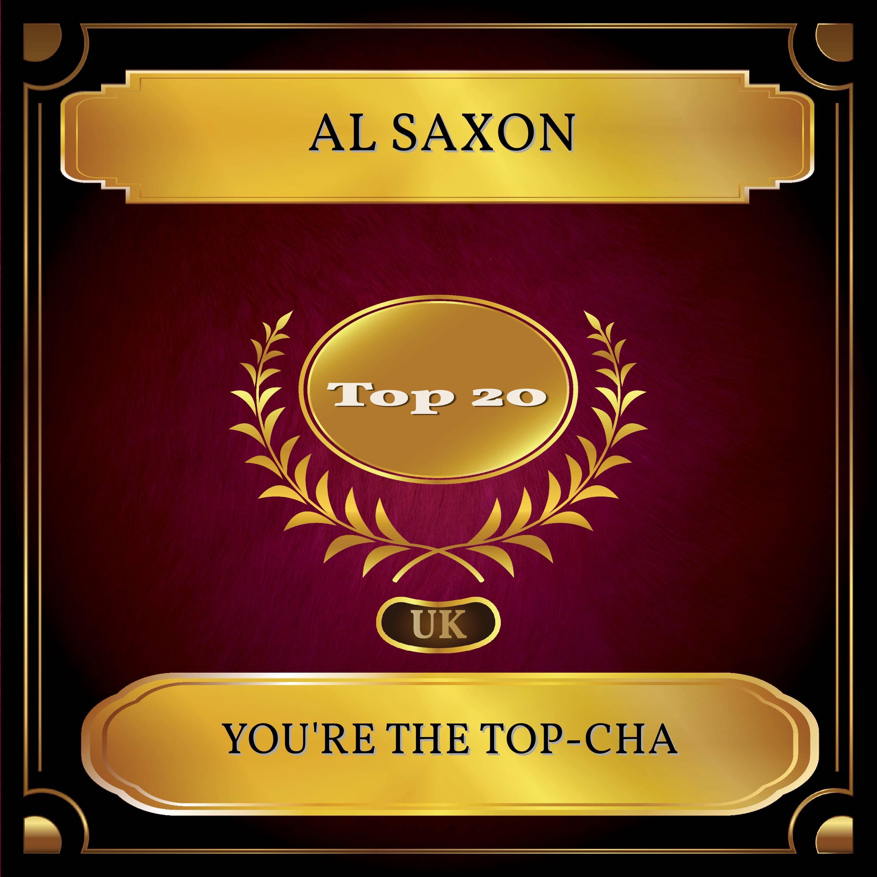 You're The Top-Cha (UK Chart Top 20 - No. 17)