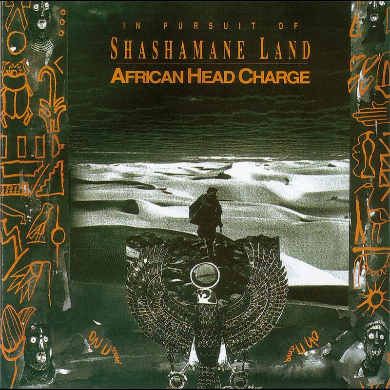 In Pursuit Of Shashamane Land