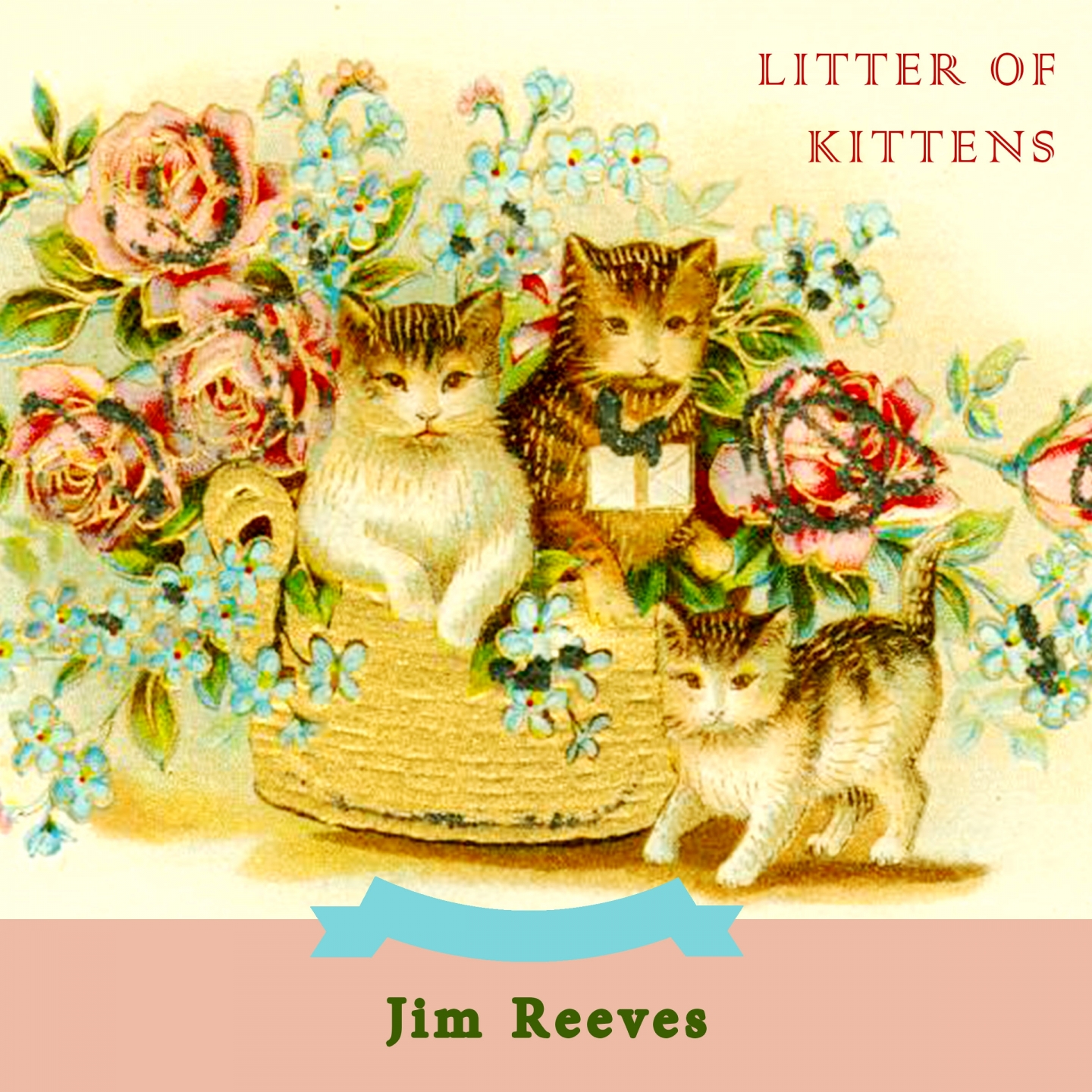 Litter Of Kittens