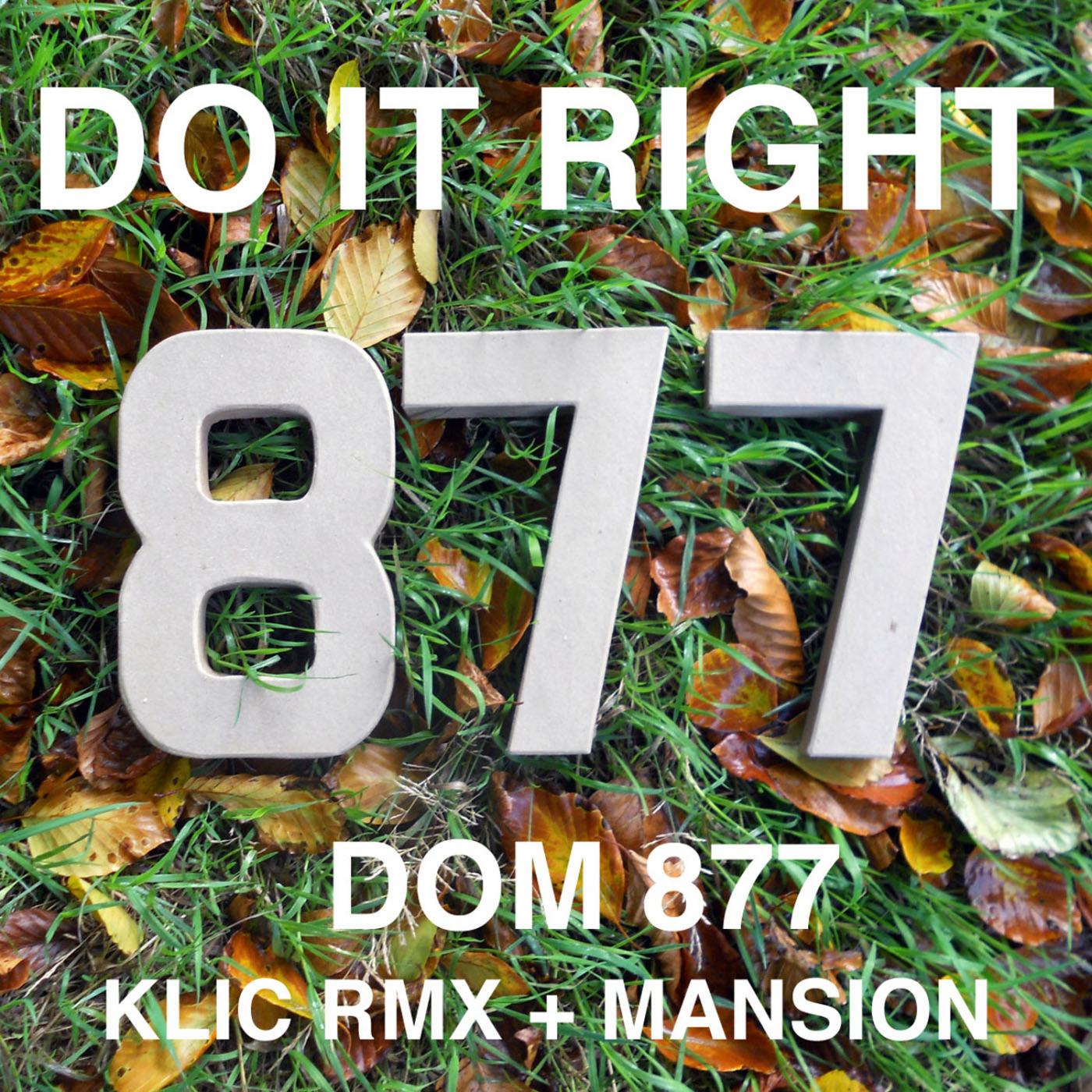 Do It Right  Single