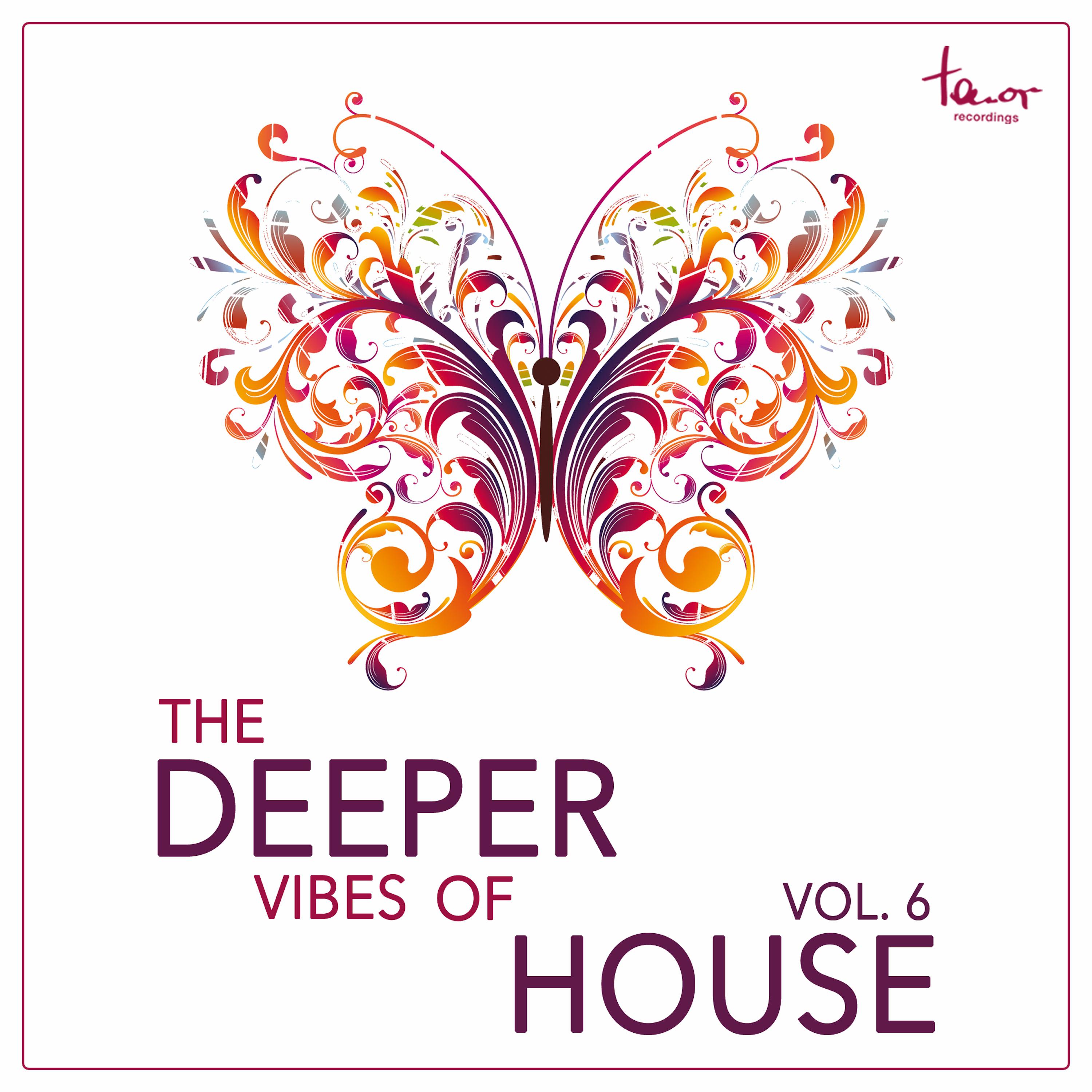The Deeper Vibes of House, Vol. 6