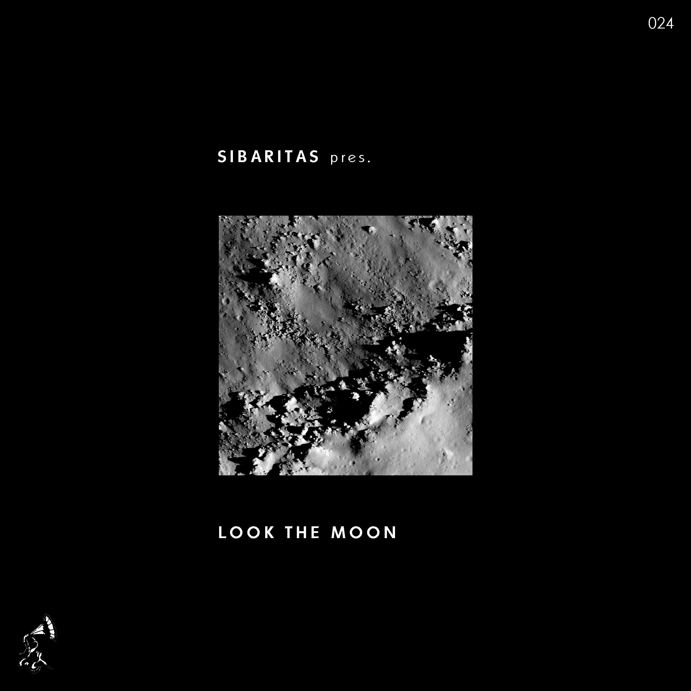 Look the Moon