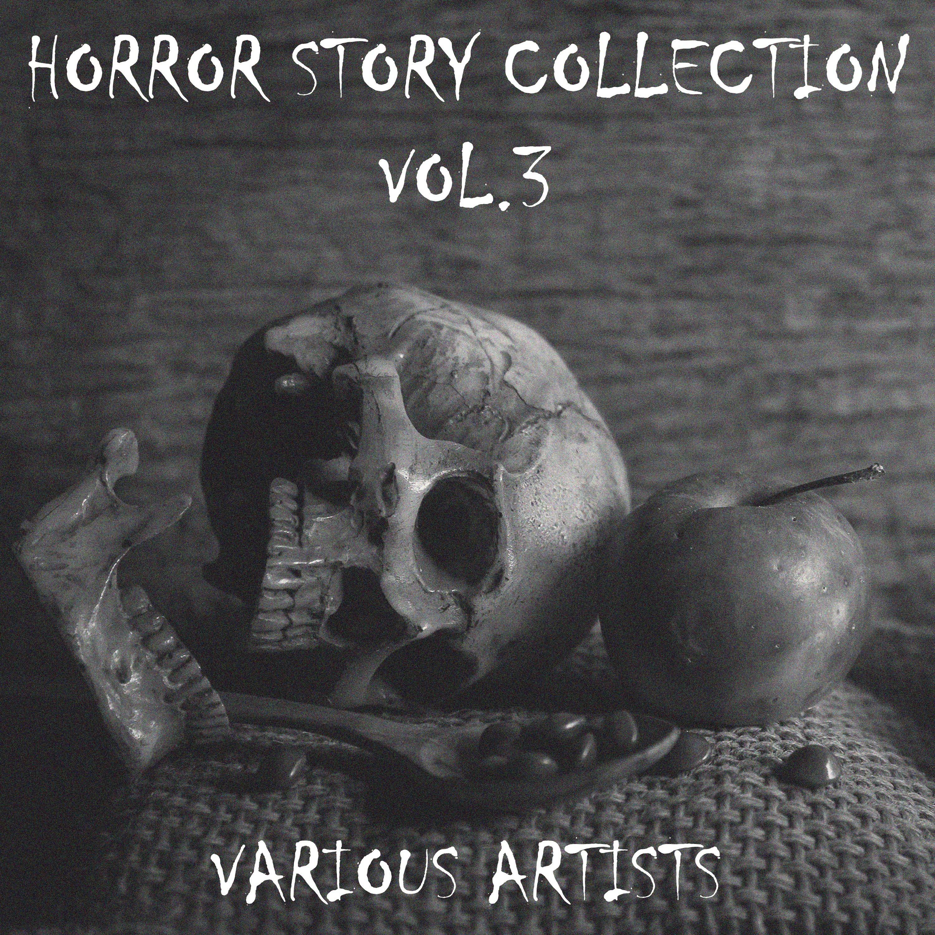 Horror Story Collection Vol.3