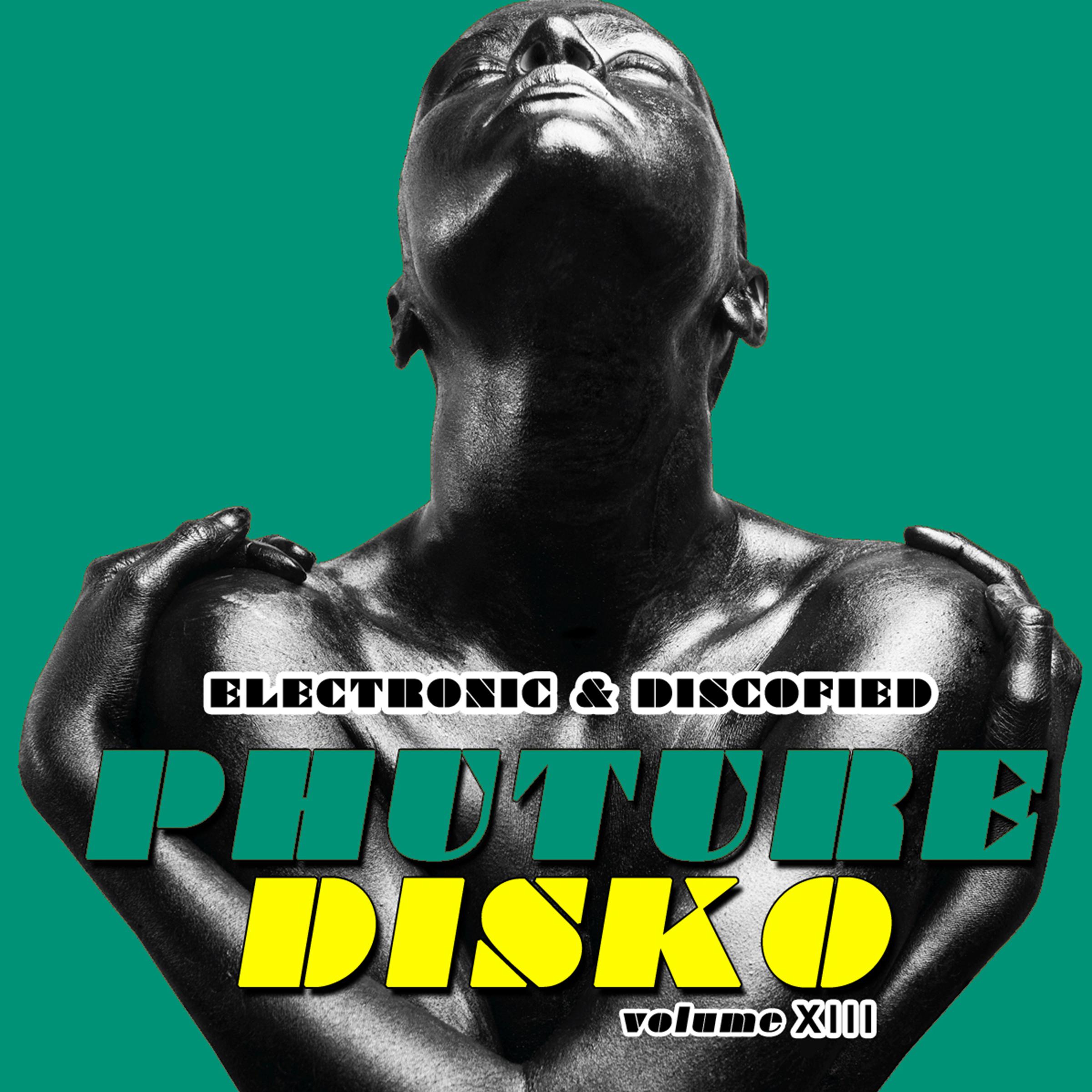 Phuture Disko, Vol. 13 - Electronic & Discofied