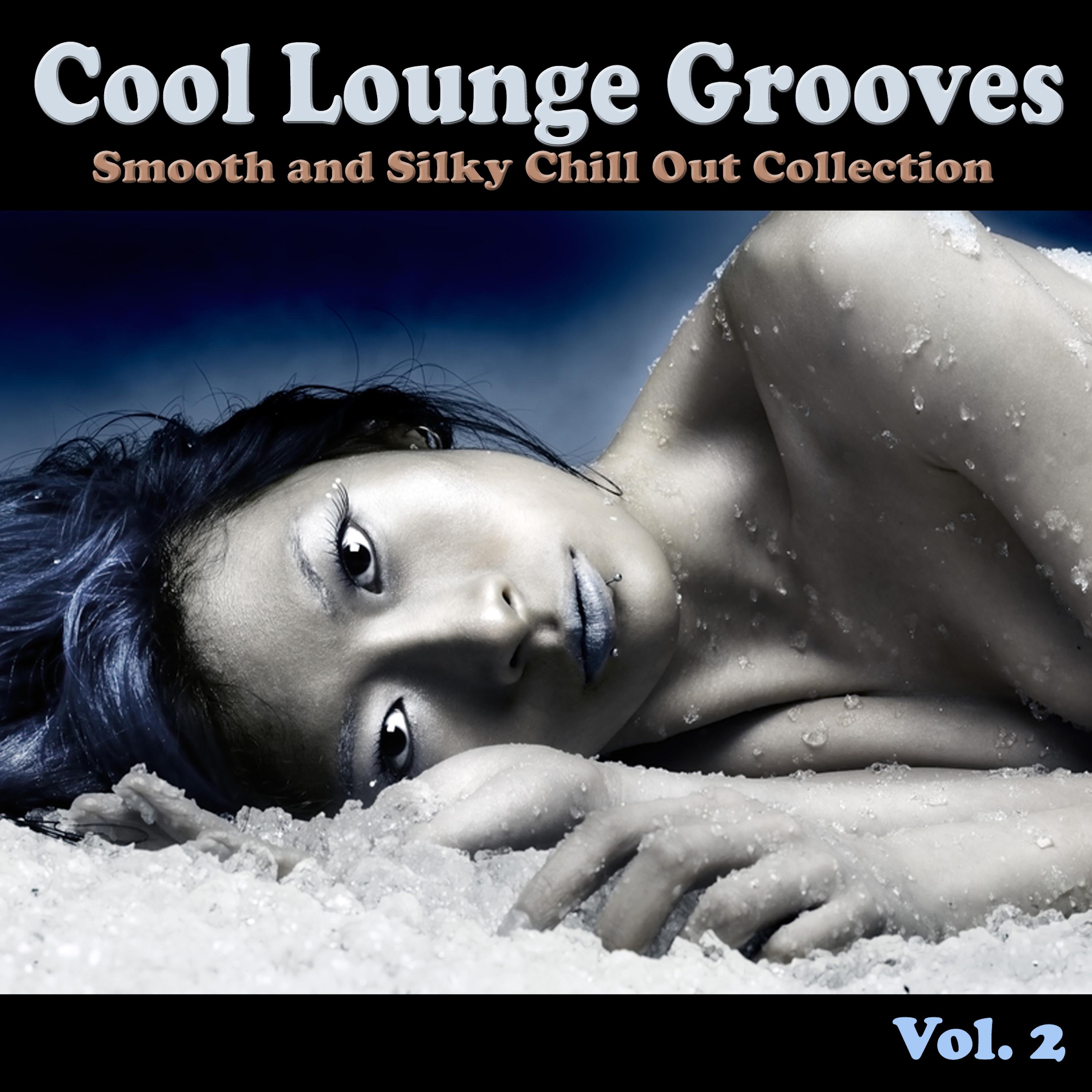 Cool Lounge Grooves, Vol. 2 - Smooth and Silky Chill Out Collection