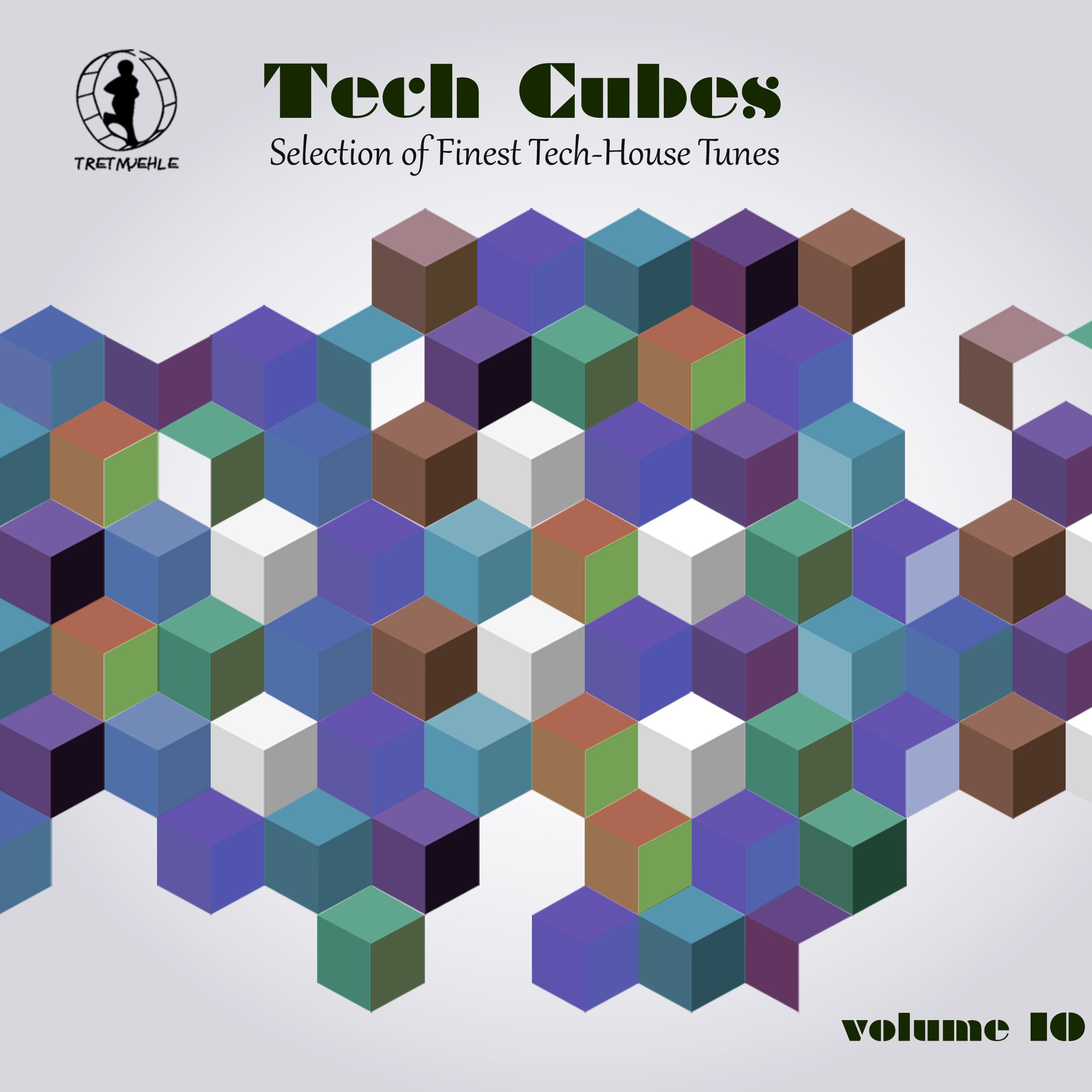 Tech Cubes, Vol. 10 - Selection of Finest Tech-House Tunes!
