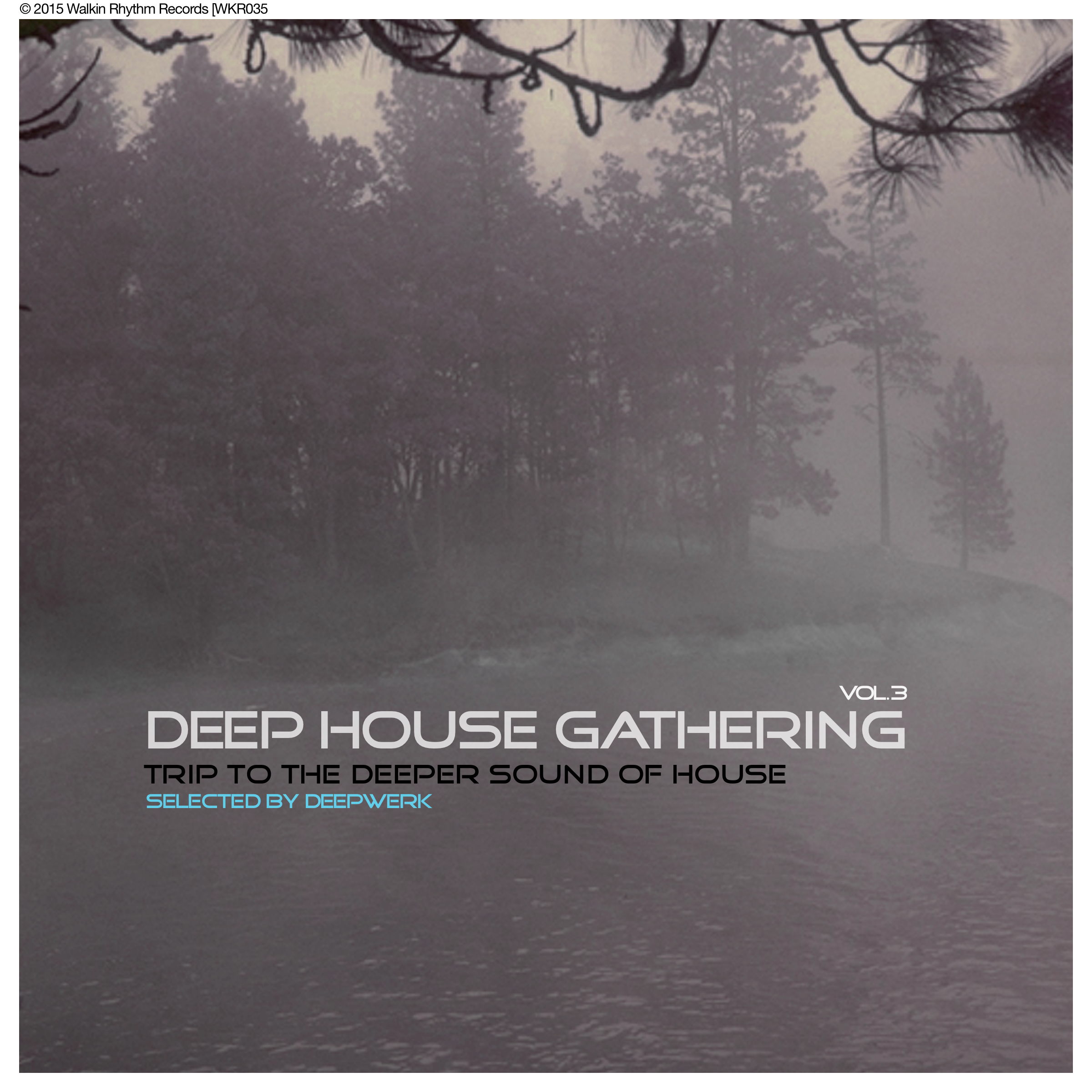 Deep House Gathering, Vol. 3