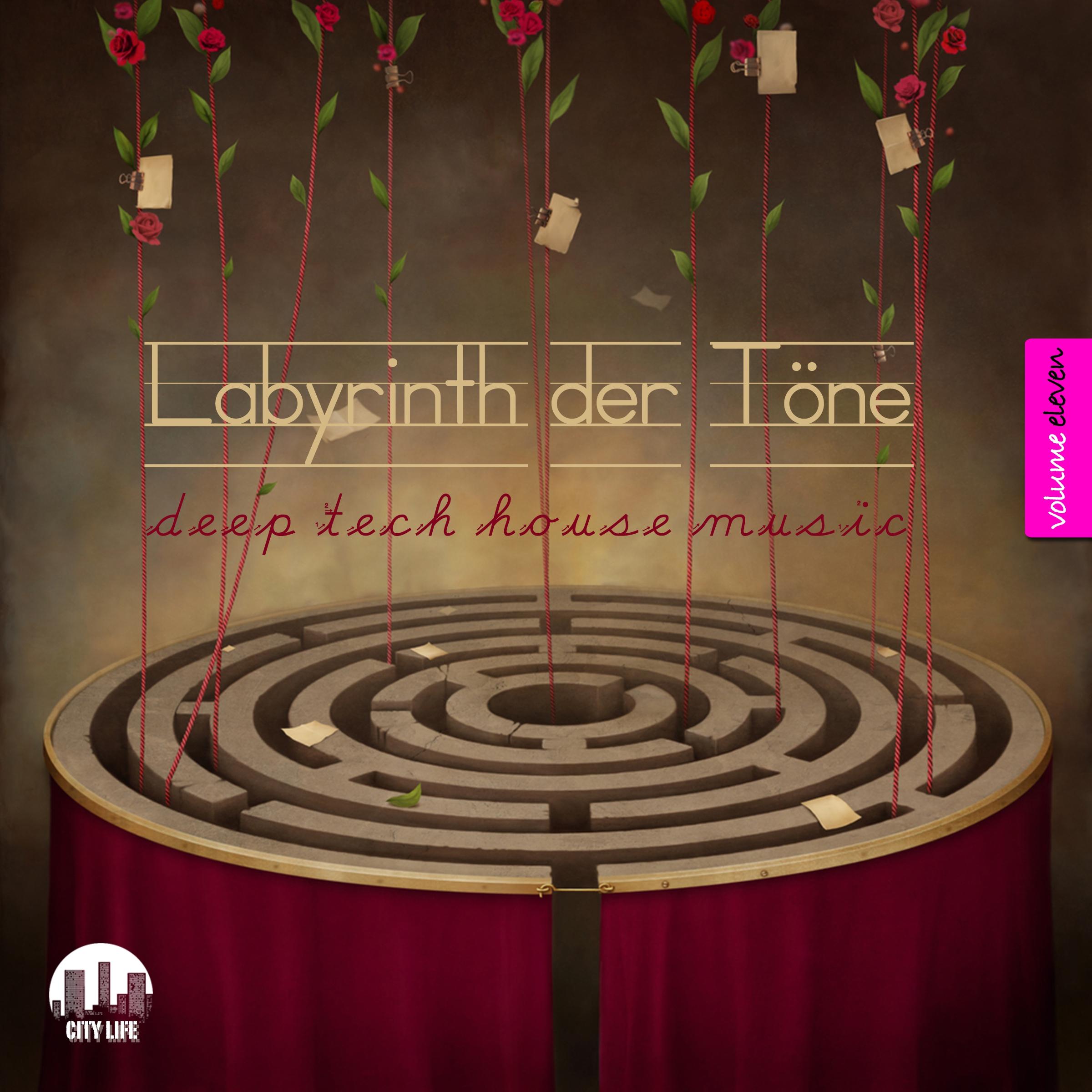 Labyrinth der T ne, Vol. 11  Deep  TechHouse Music