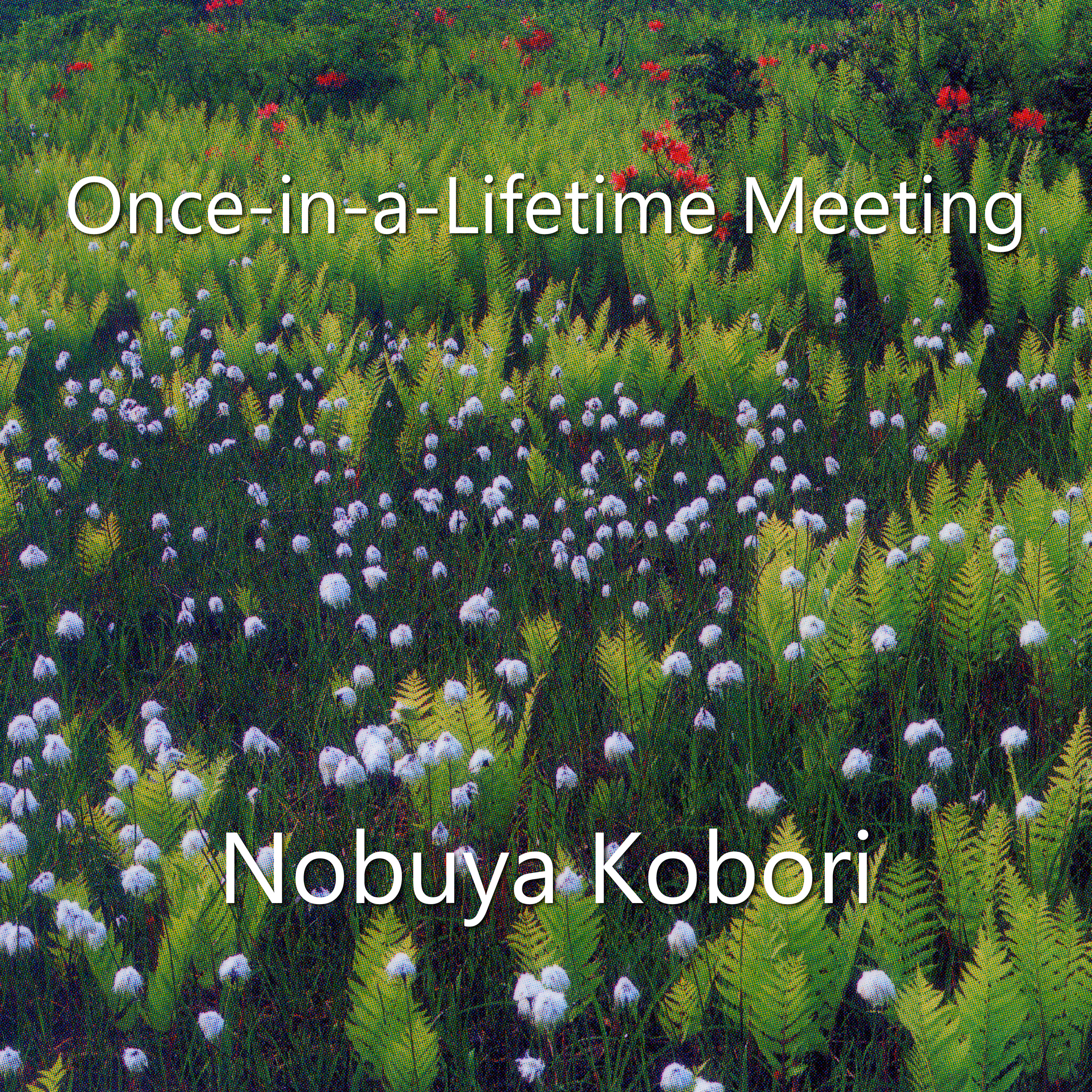 Once-in-a-Lifetime Meeting