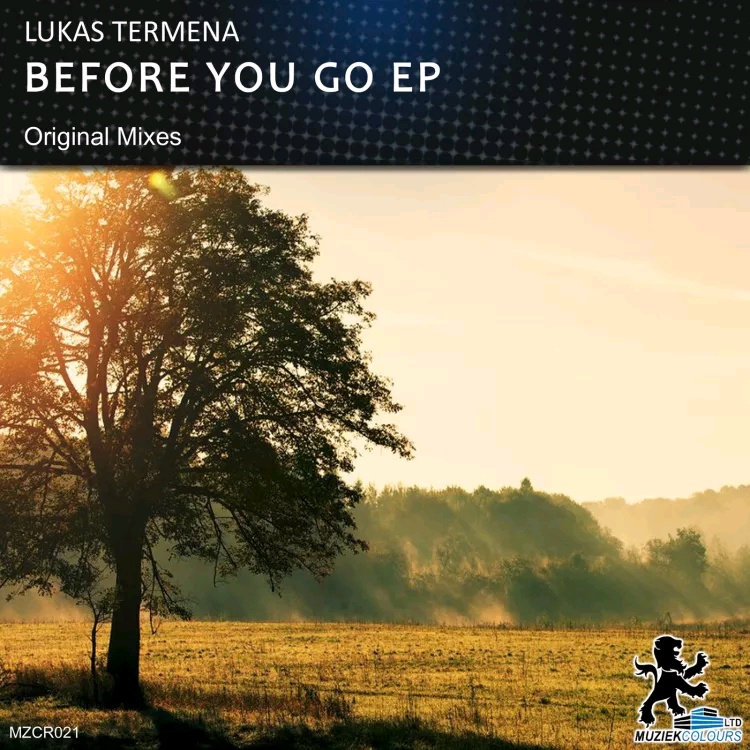 BEFORE YOU GO