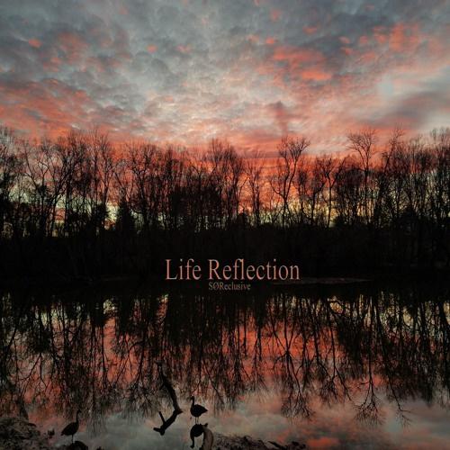 Life Reflection