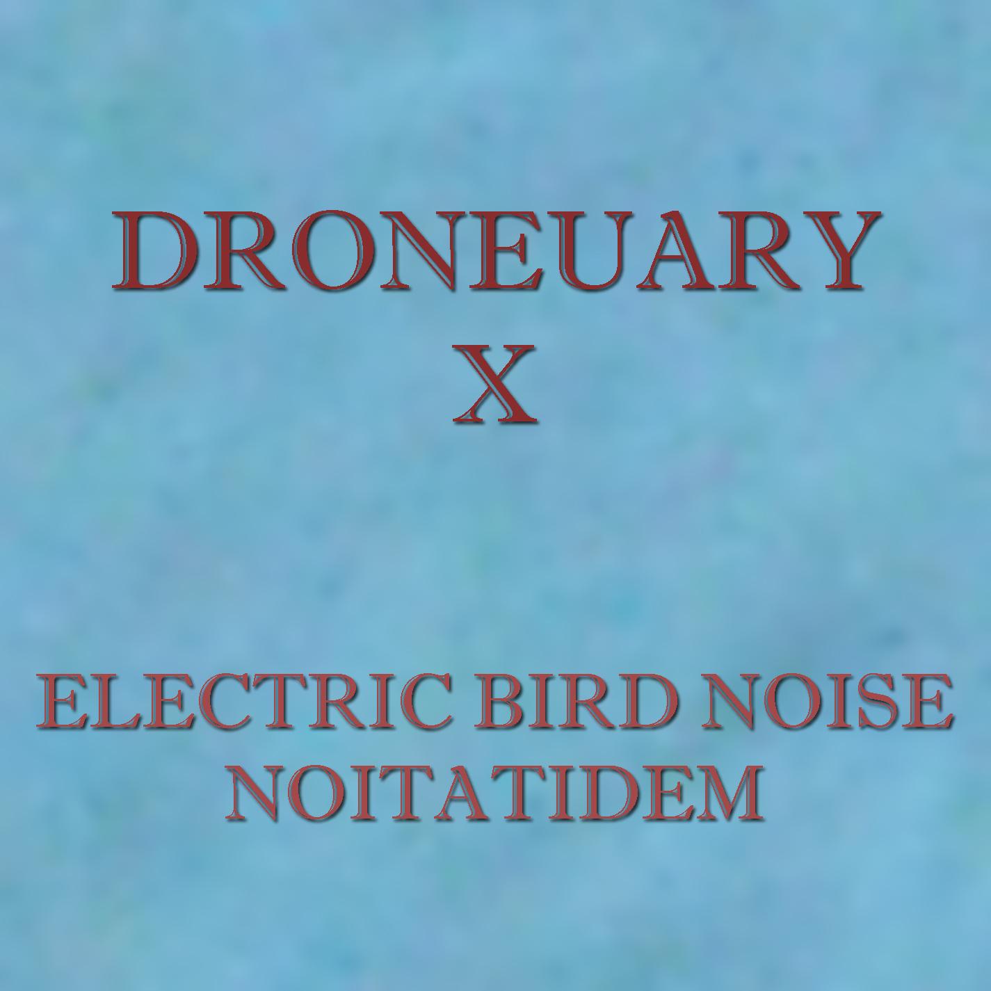 Droneuary X - Noitatidem