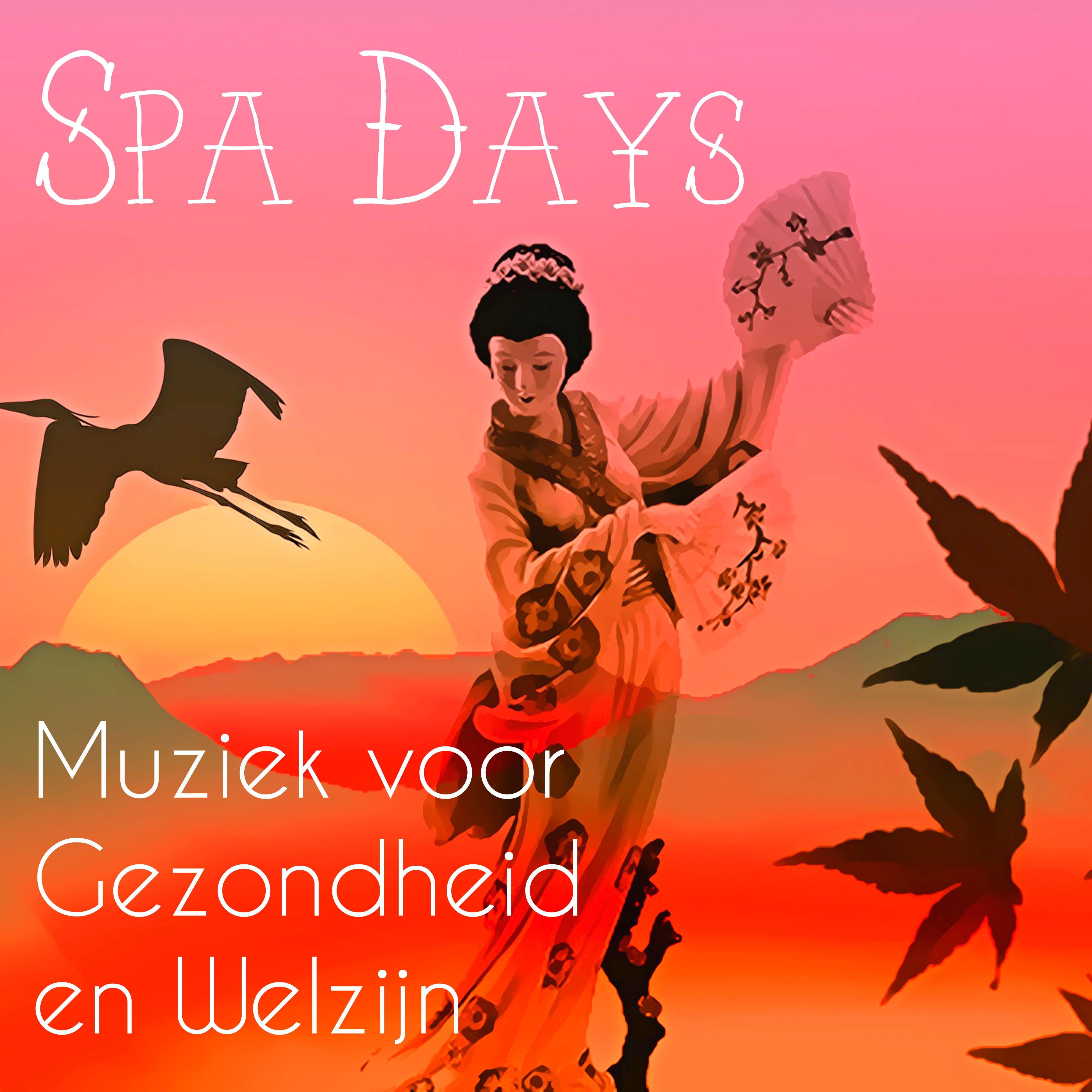Spa Days - Lounge Chill Mindfulness Oefeningen Muziek voor Gezondheid en Welzijn