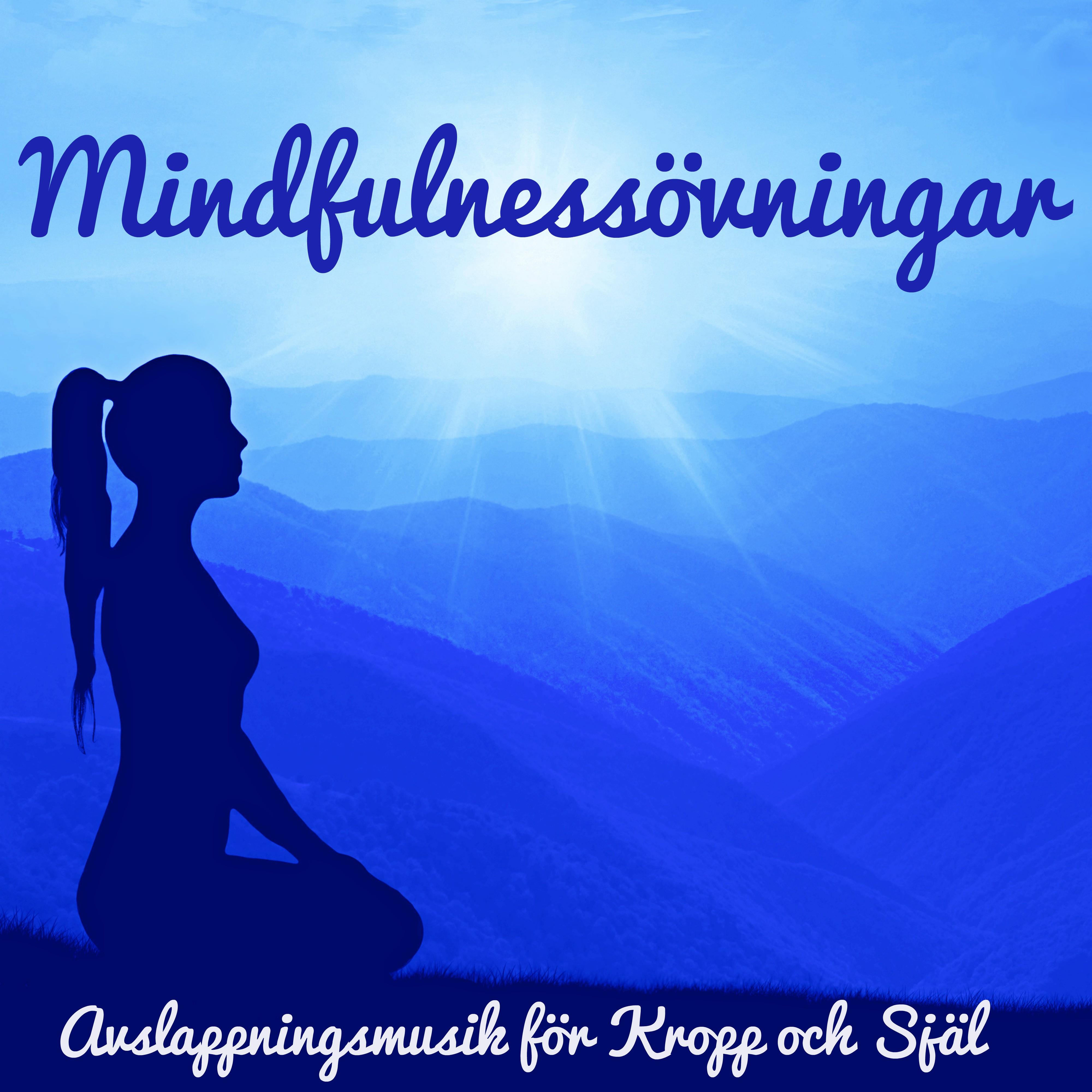 Mindfulness vningar  Avslappningsmusik f r Kropp och Sj l, Natur och Instrumentalmusik