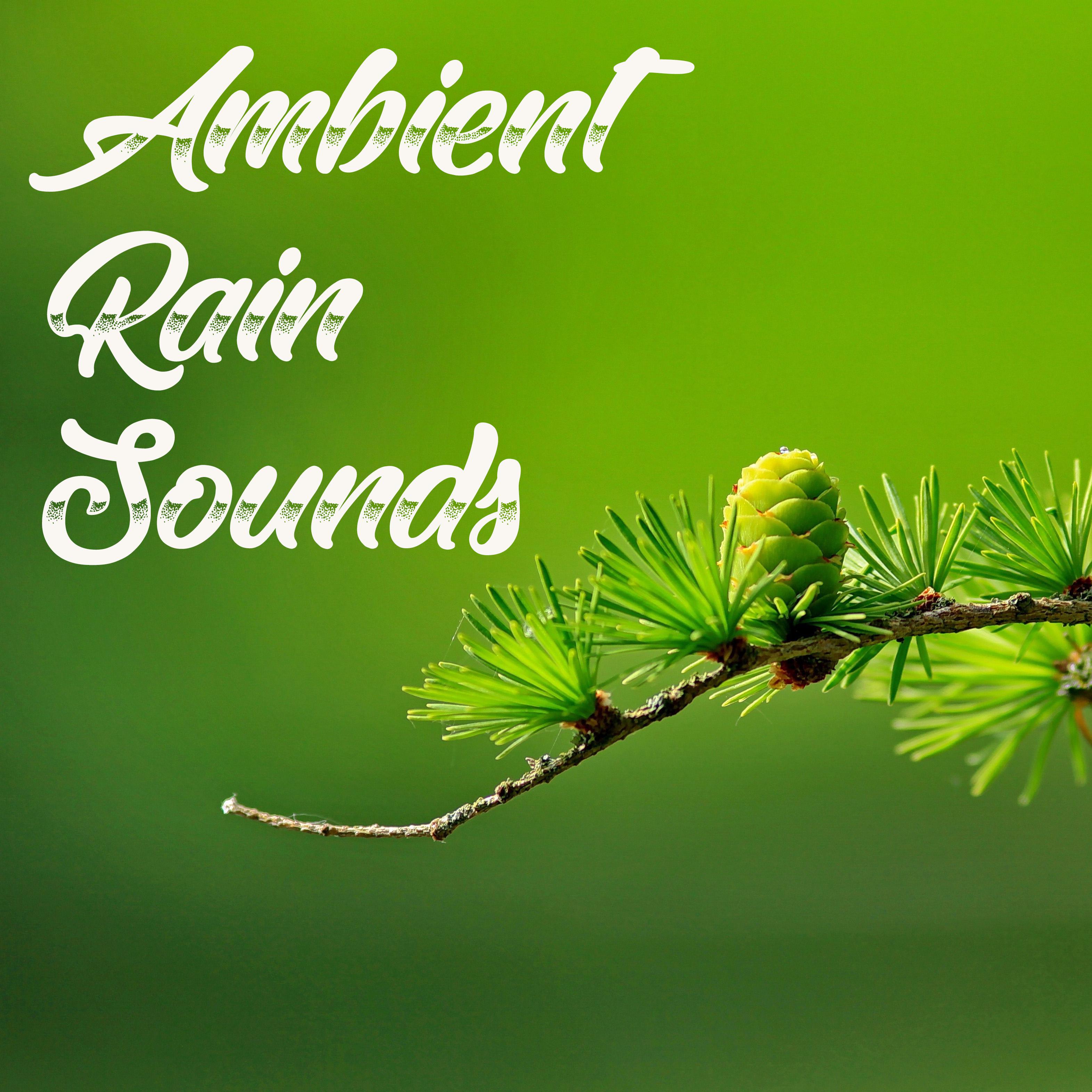 20 Ambient Rain and Nature Sounds - Mindfulness and Zen Sounds