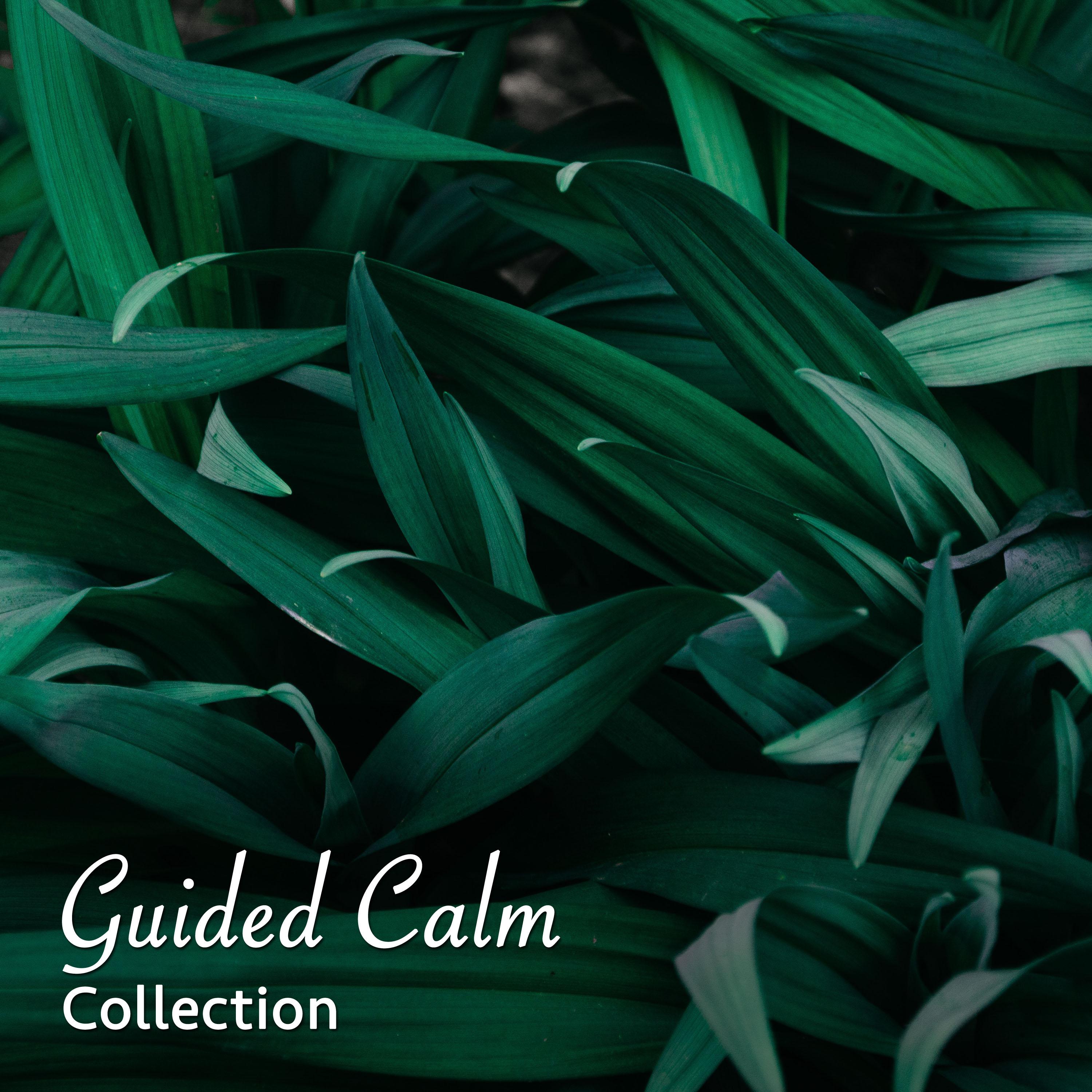 #16 Guided Calm Collection for Massage