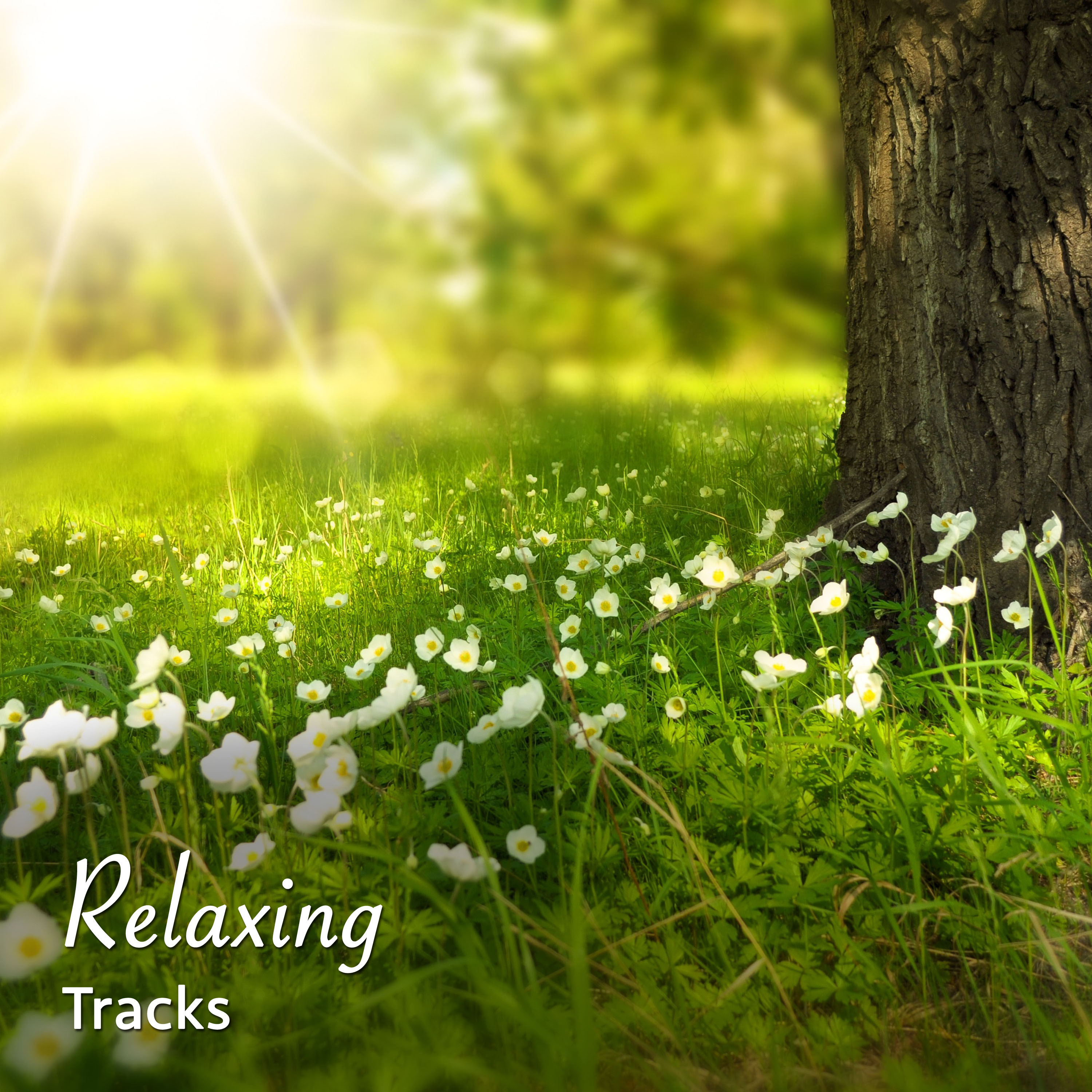 #12 Relaxing Tracks for Yoga, Zen and Meditation