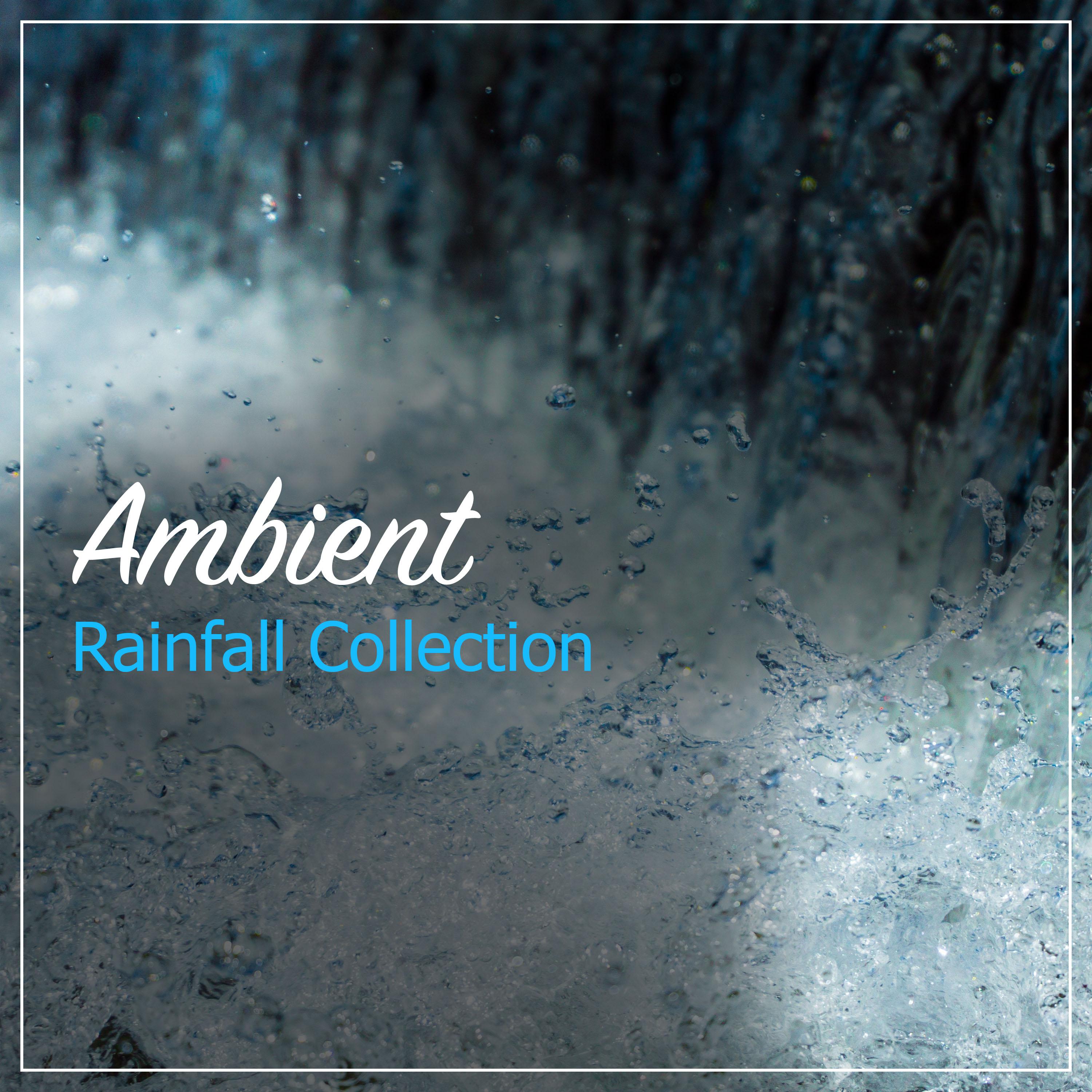 #15 Ambient Rainfall Collection