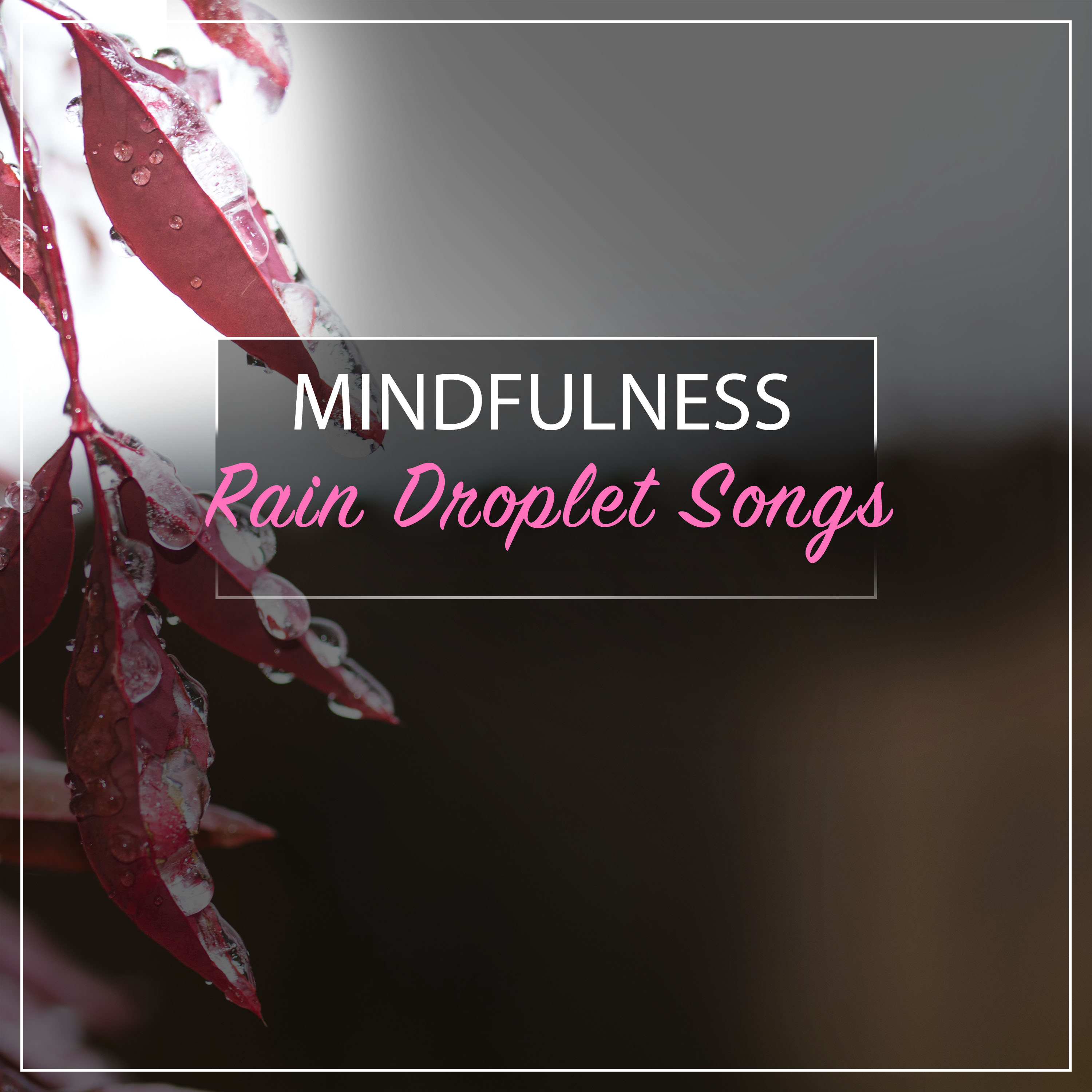 #16 Mindfulness Rain Droplet Songs