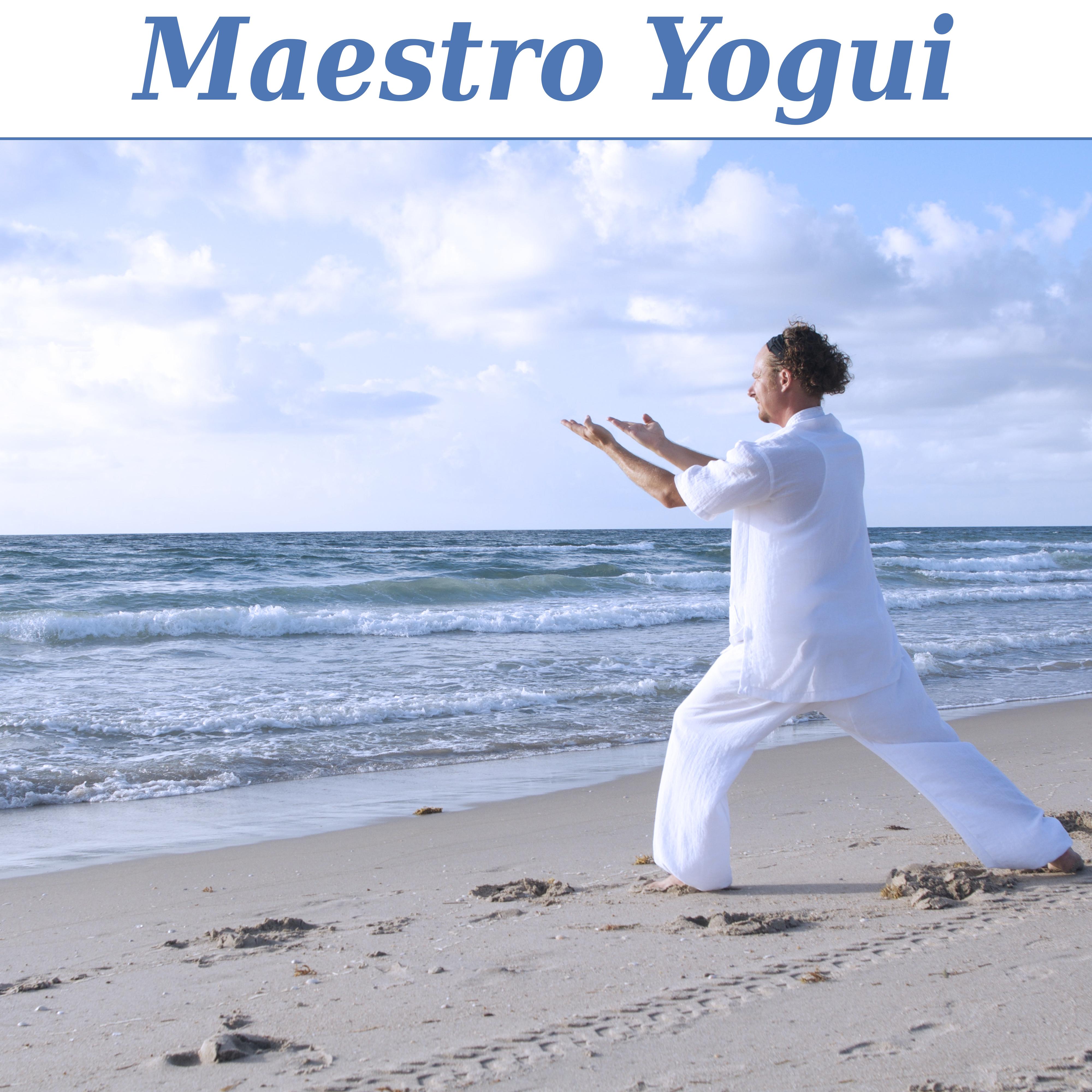 Maestro Yogui   La Relajacio n Completa, El Estiramiento y Ejercicio, Armoni a y Equilibrio, Resto de Relajacio n