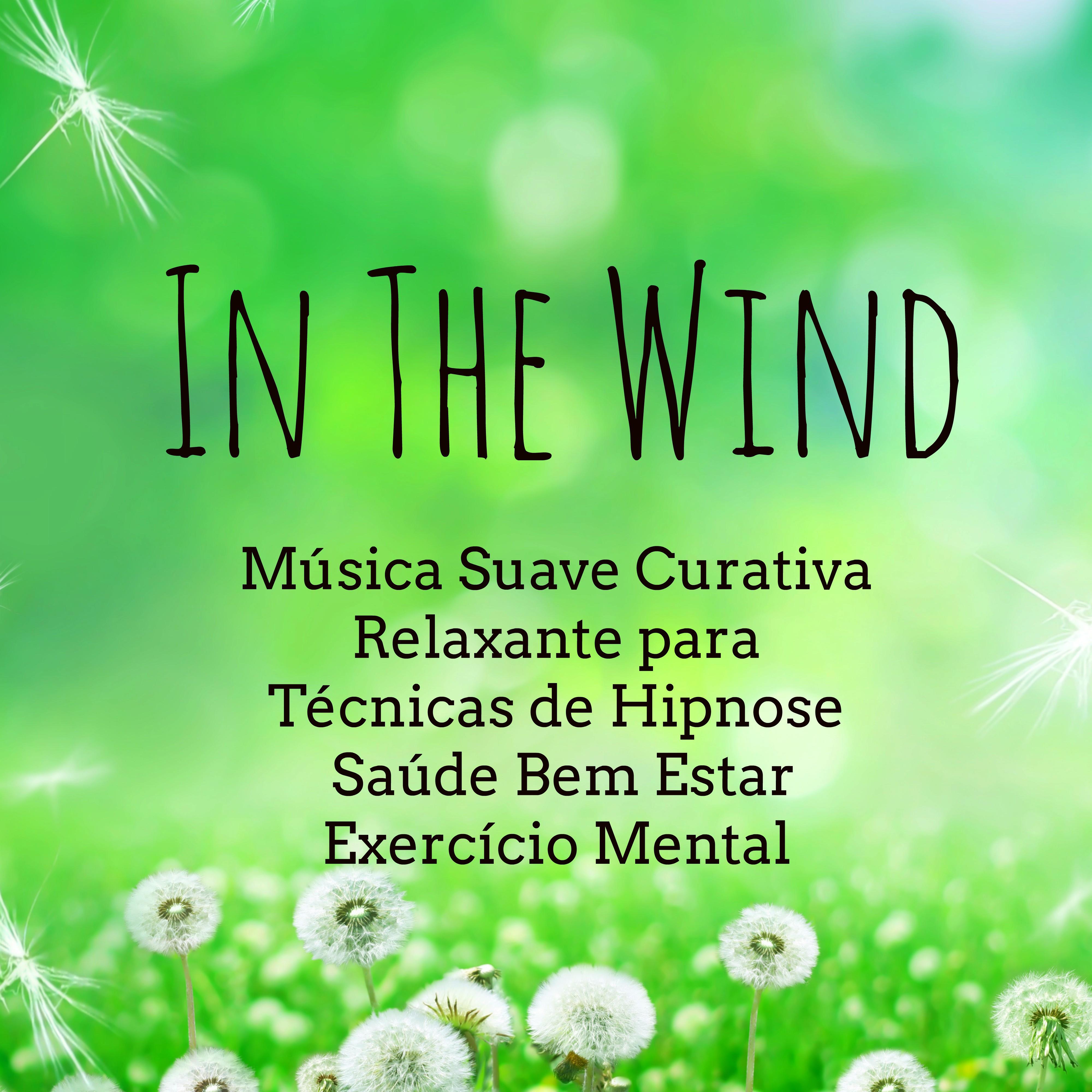 In The Wind  Mu sica Suave Curativa Relaxante para Te cnicas de Hipnose Sau de Bem Estar Exerci cio Mental com Sons da Natureza Instrumentais de Medita o Consciente