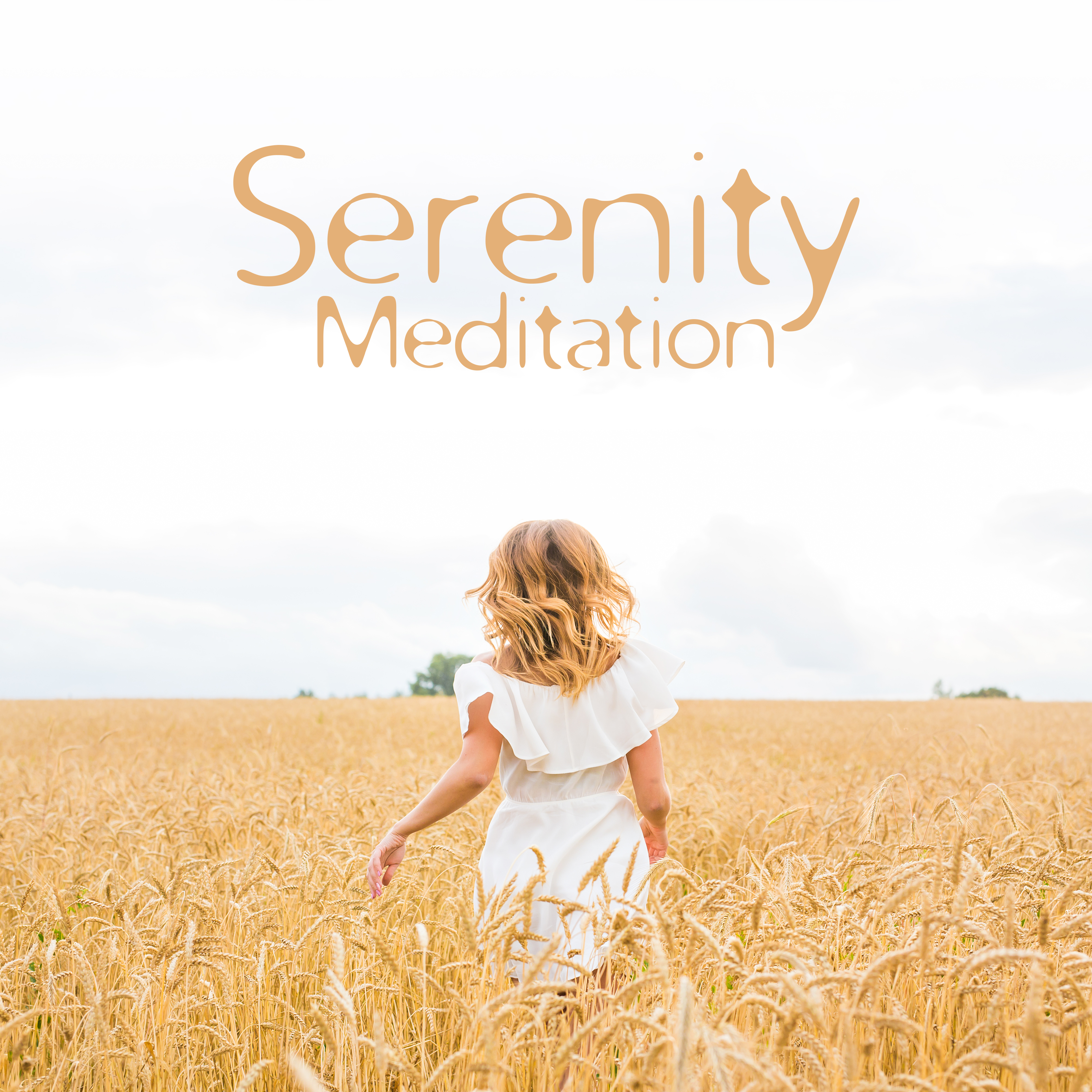 Serenity Meditation
