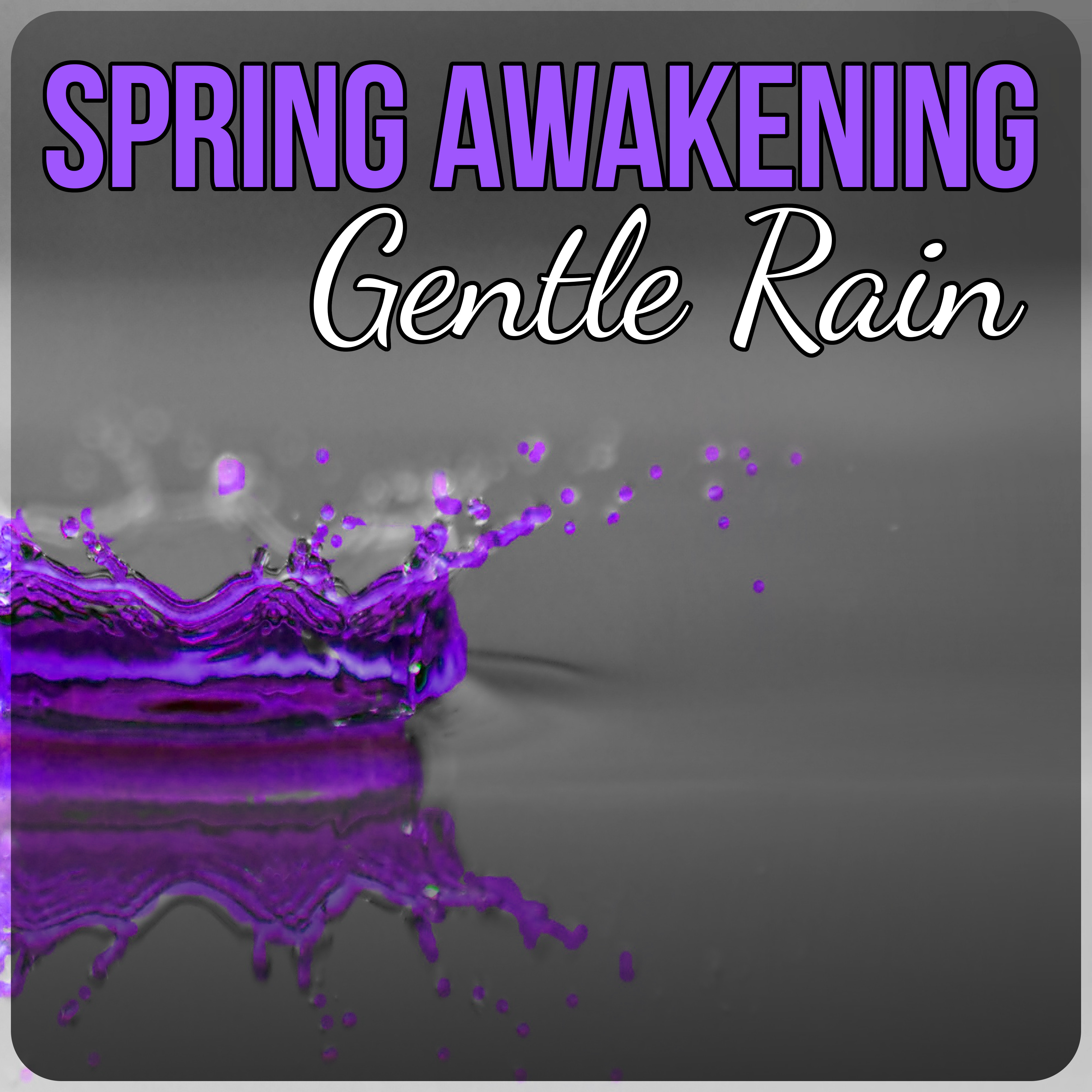 Spring Awakening with Gentle Rain  Relaxing Nature Sounds to Calm Down, Yoga  Meditation, Natural Sleep Aids, Rain Sounds, White Noise for Deep Sleep
