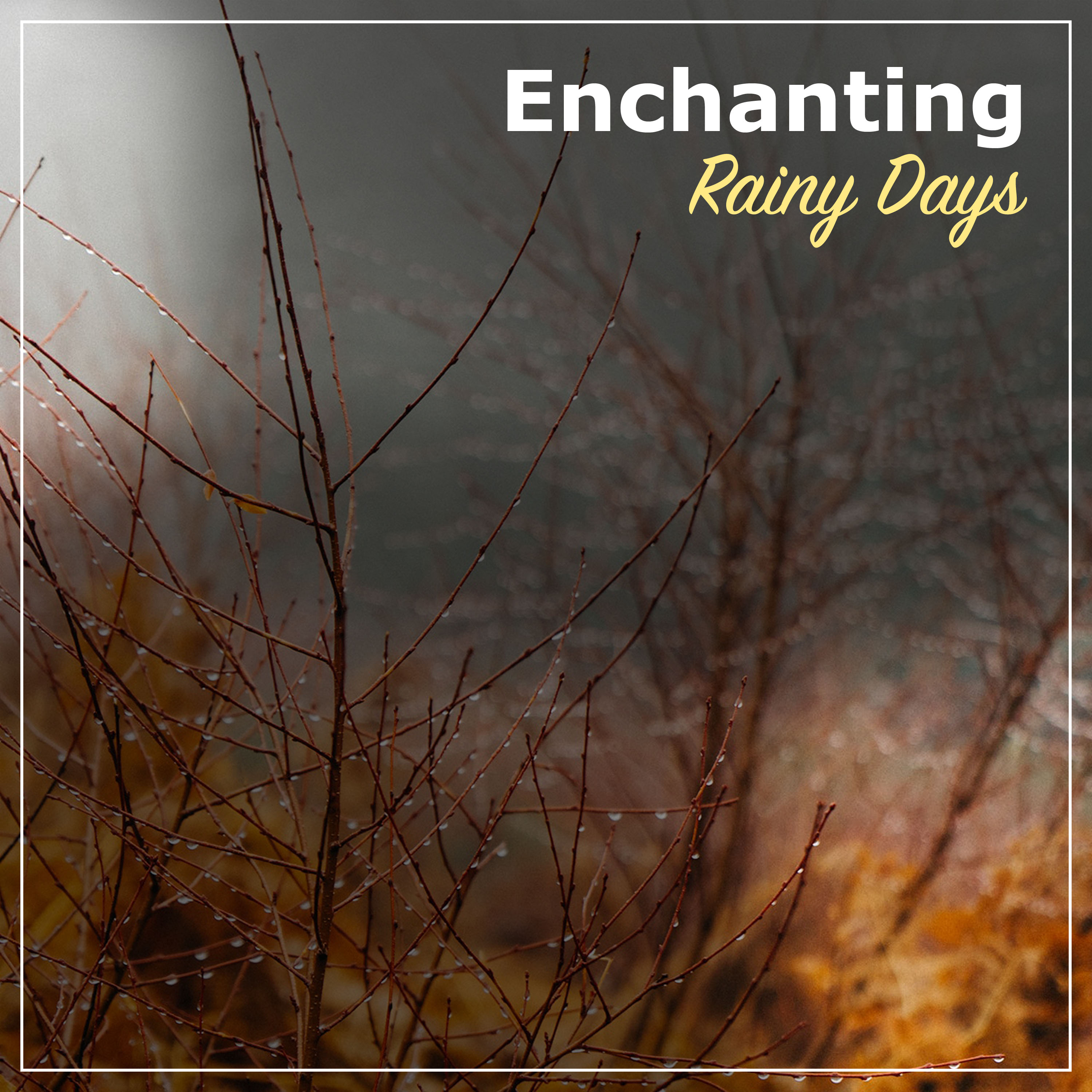 #16 Enchanting Rainy Days