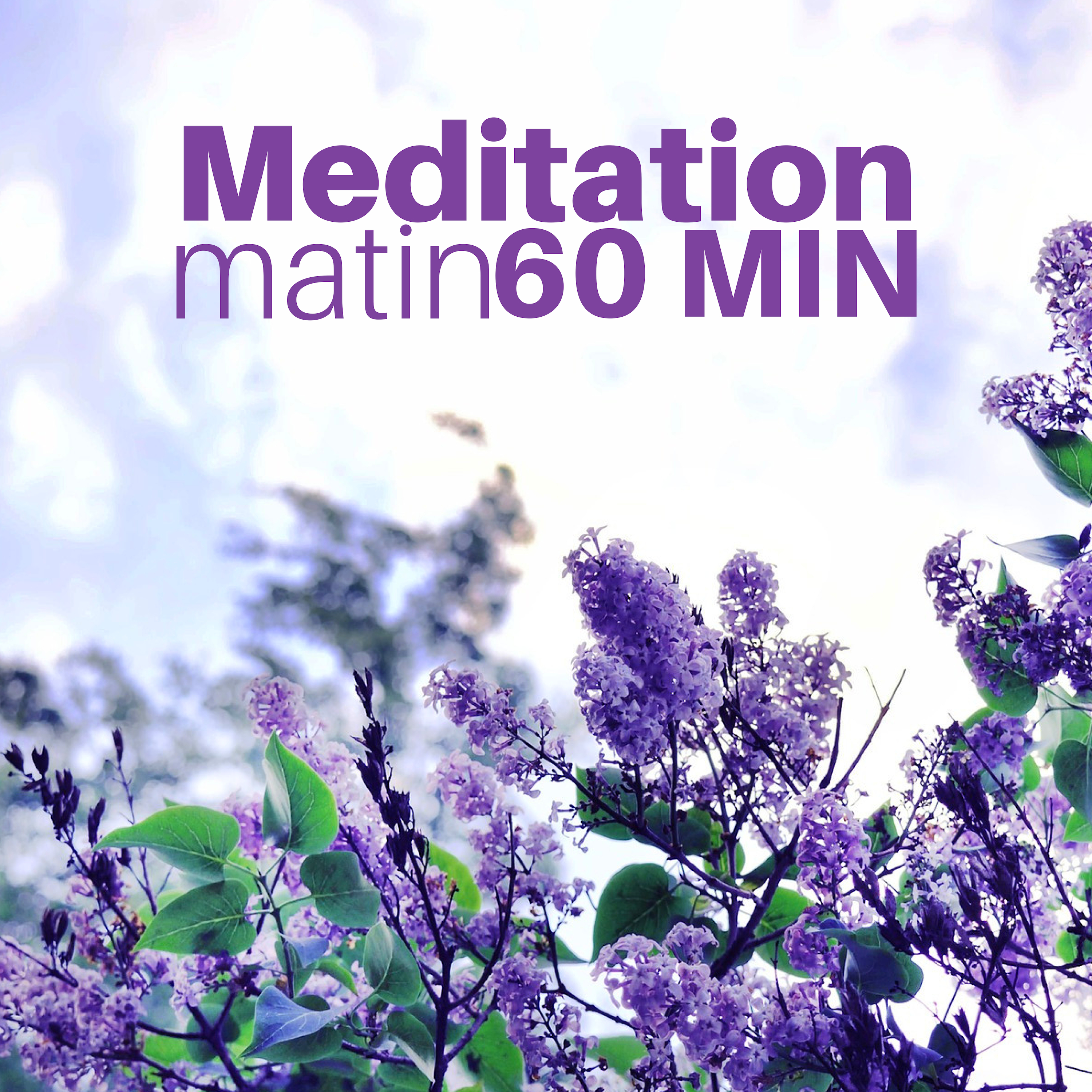 Meditation Matin 60 MIN  Musique Bouddhiste Relaxante pour Me diter avec des Sons de la Nature