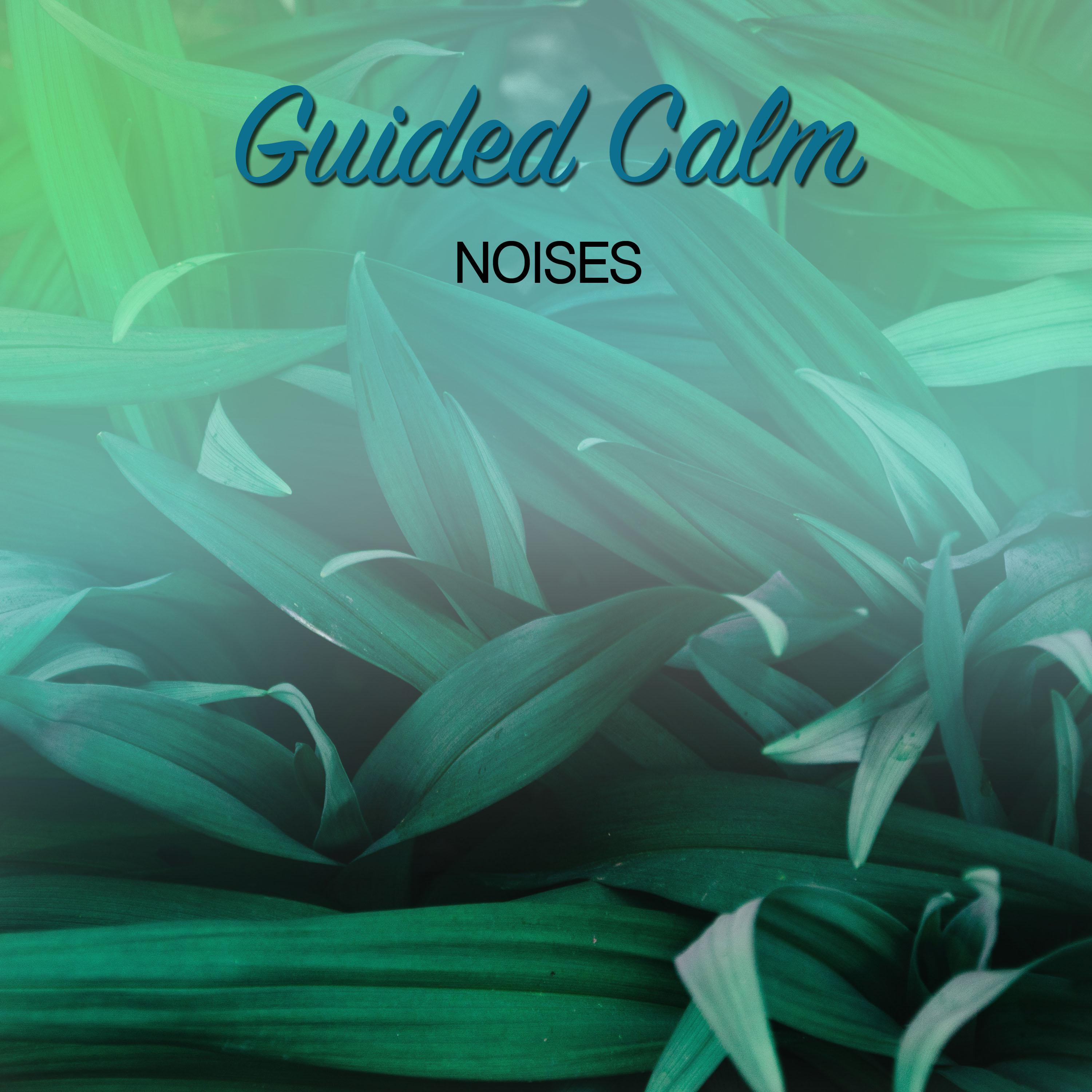 #16 Guided Calm Noises for Sleep
