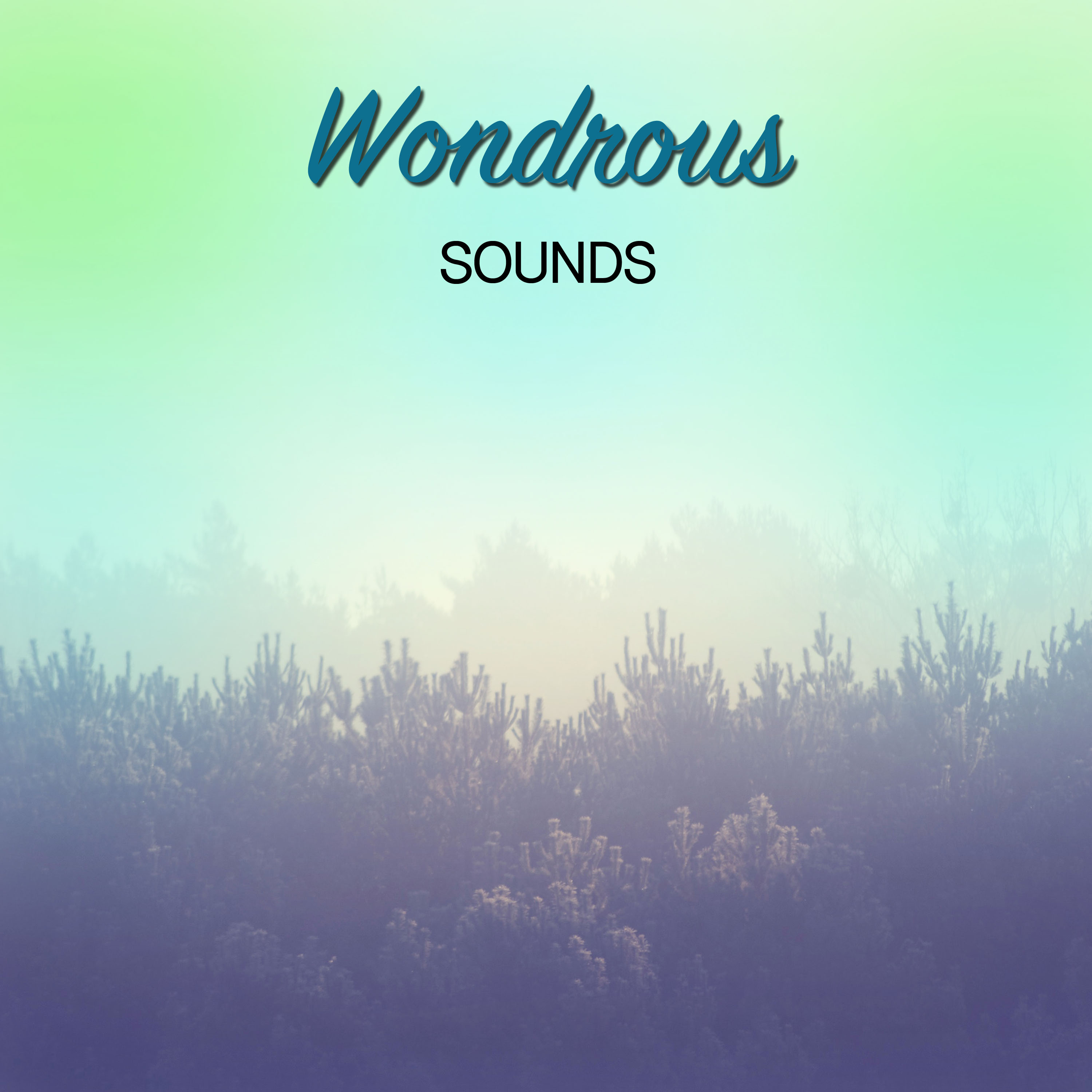 #18 Wondrous Sounds for Relaxation and Sleep Aid